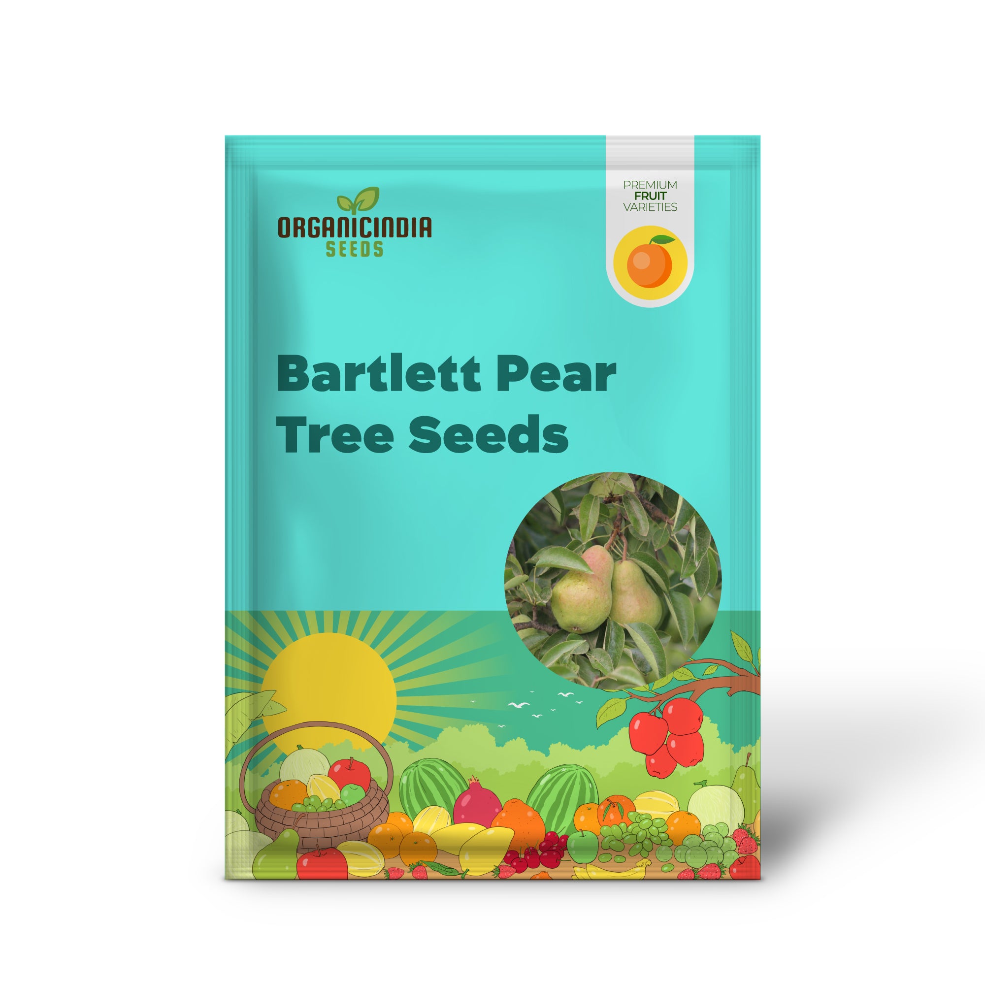 Pyrus communis Bartlett pear tree with ripe golden pears