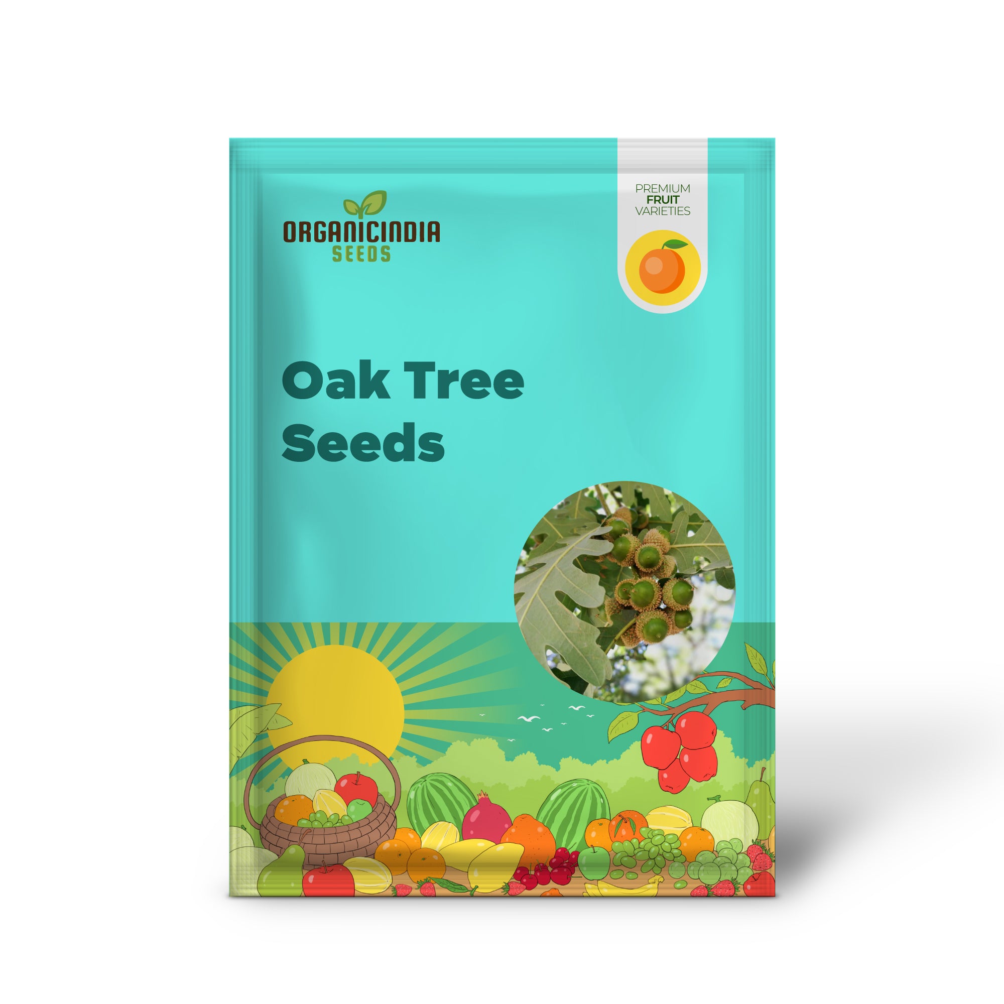 Quercus alba White Oak Seeds for Reforestation and Landscaping