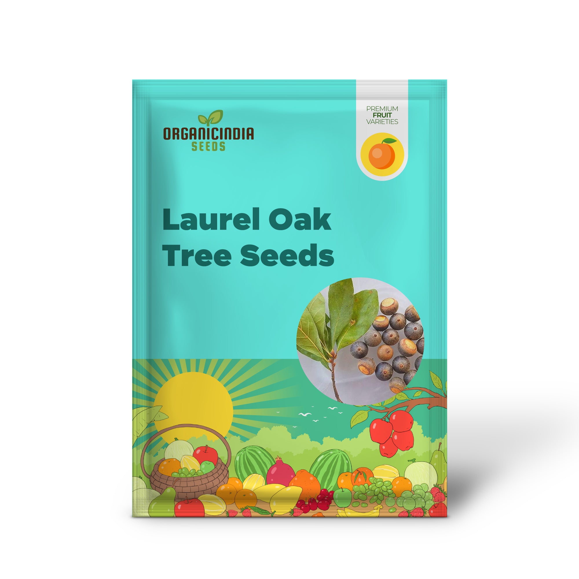 Quercus laurifolia seeds for growing hardy oak trees