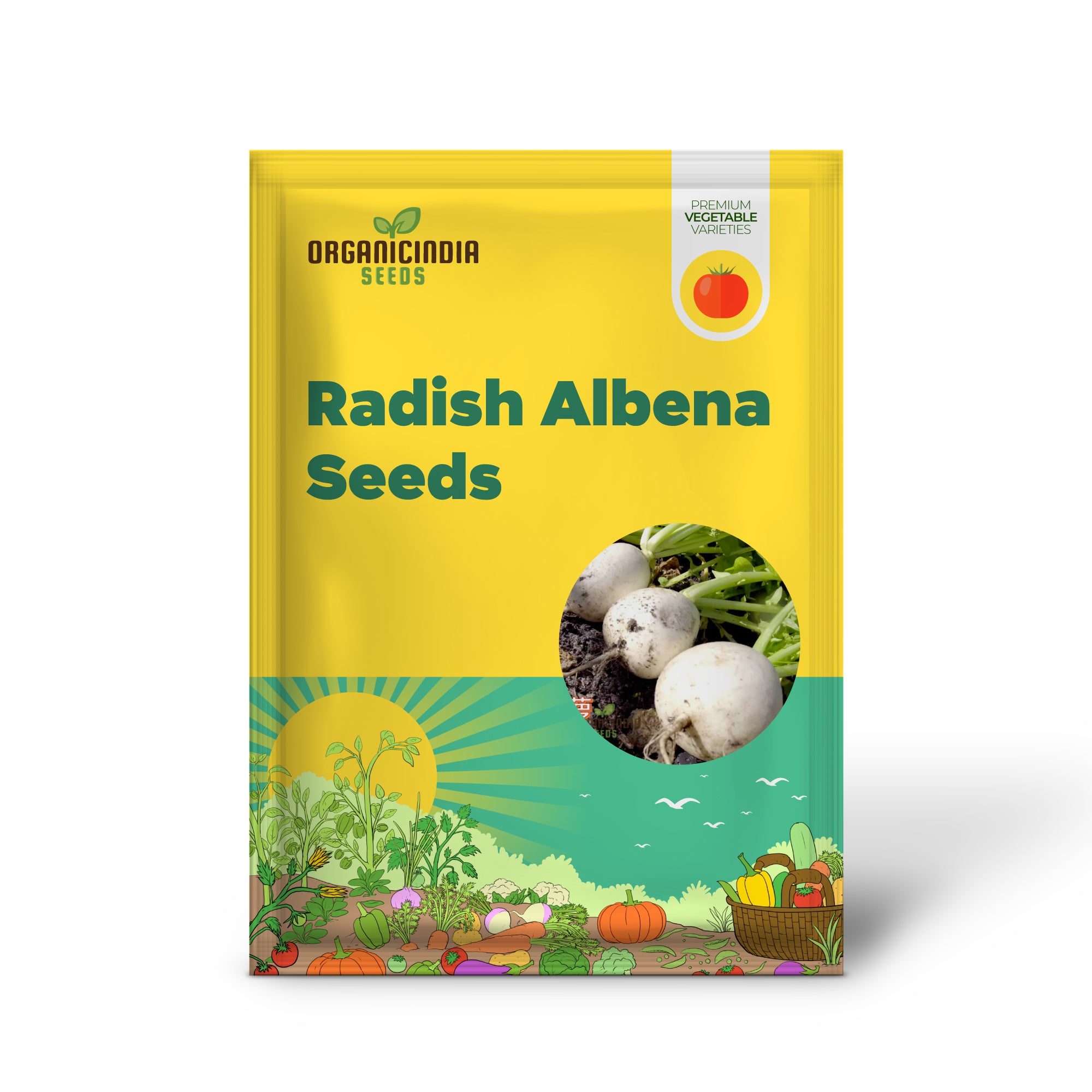 Freshly Harvested Albena Radishes from Seeds, Homegrown Vegetables