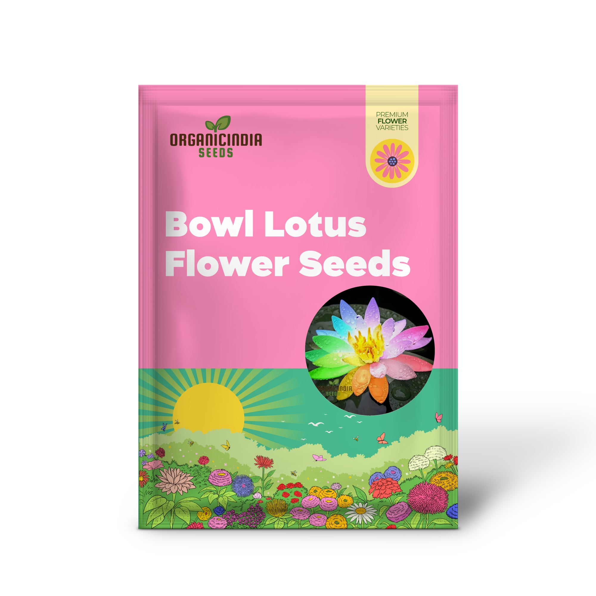 Rainbow Bowl lotus seeds for colorful aquatic blooms