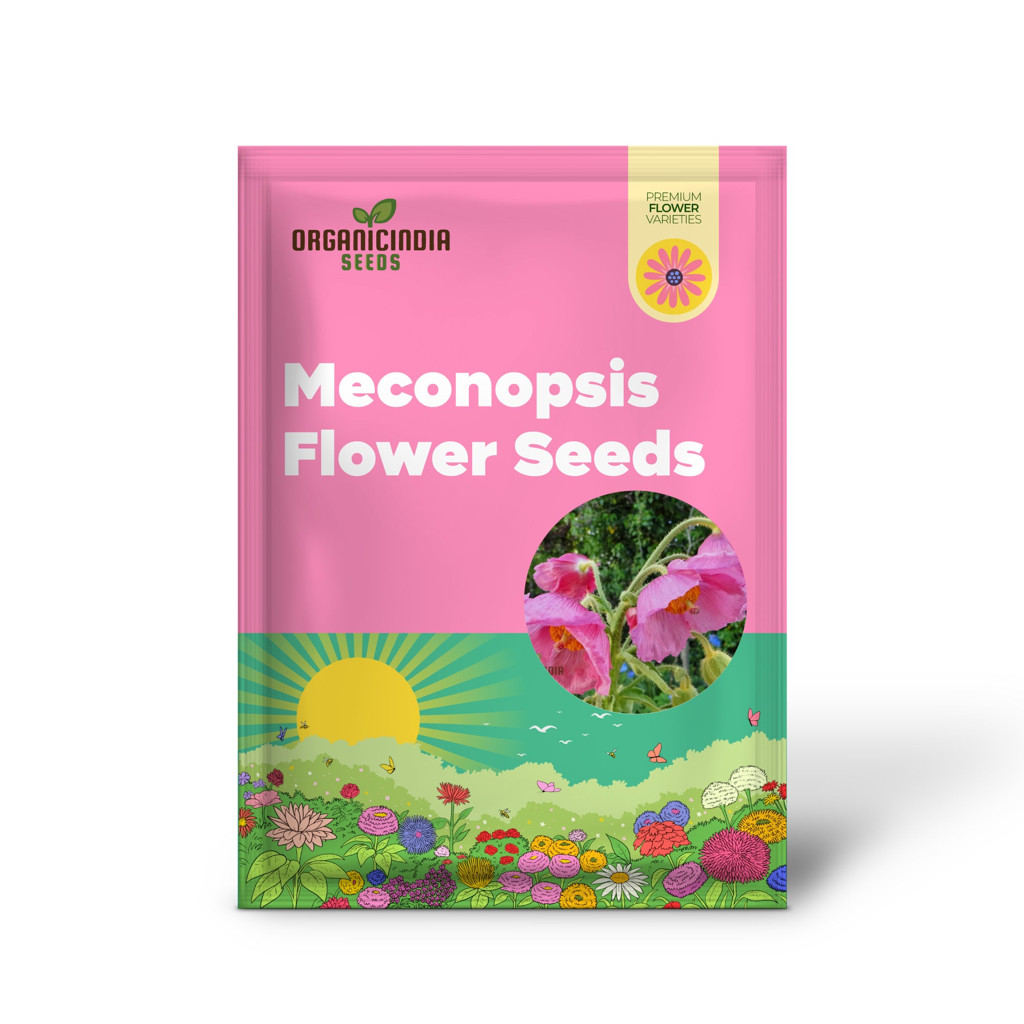 Rare Meconopsis flower seeds for perennial garden blooms