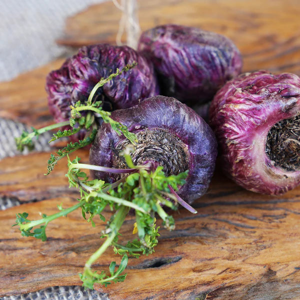 Red Maca Peruvian Ginseng Seeds for Planting, High-Quality Non-GMO Seeds