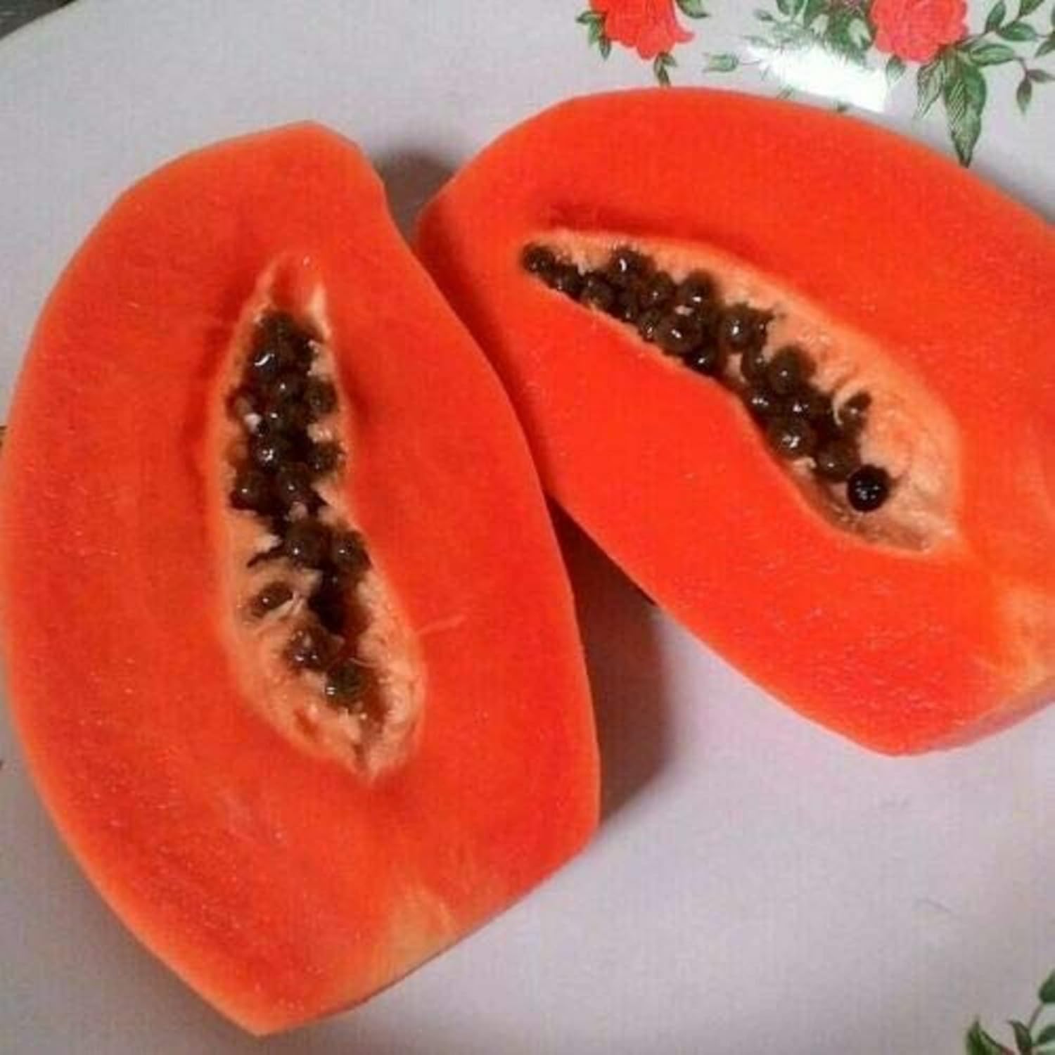 Non-GMO red papaya seeds for growing tropical papaya trees