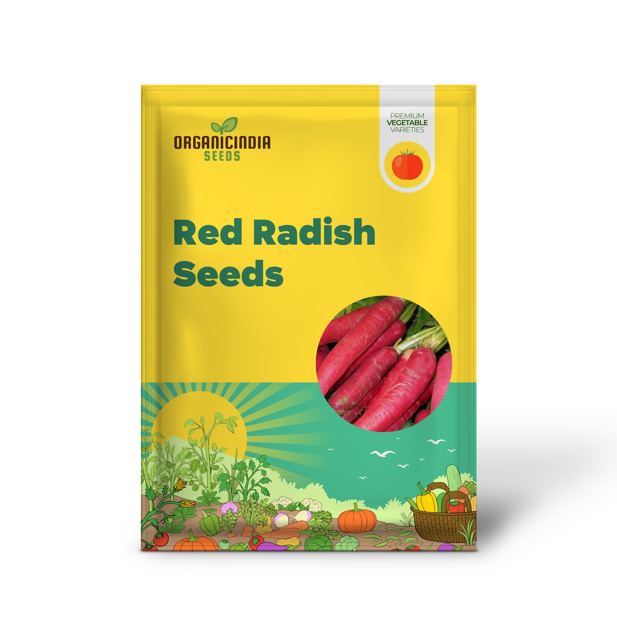 Red Radish Seedling Growing in Garden, Easy-to-Grow Vegetable Seeds