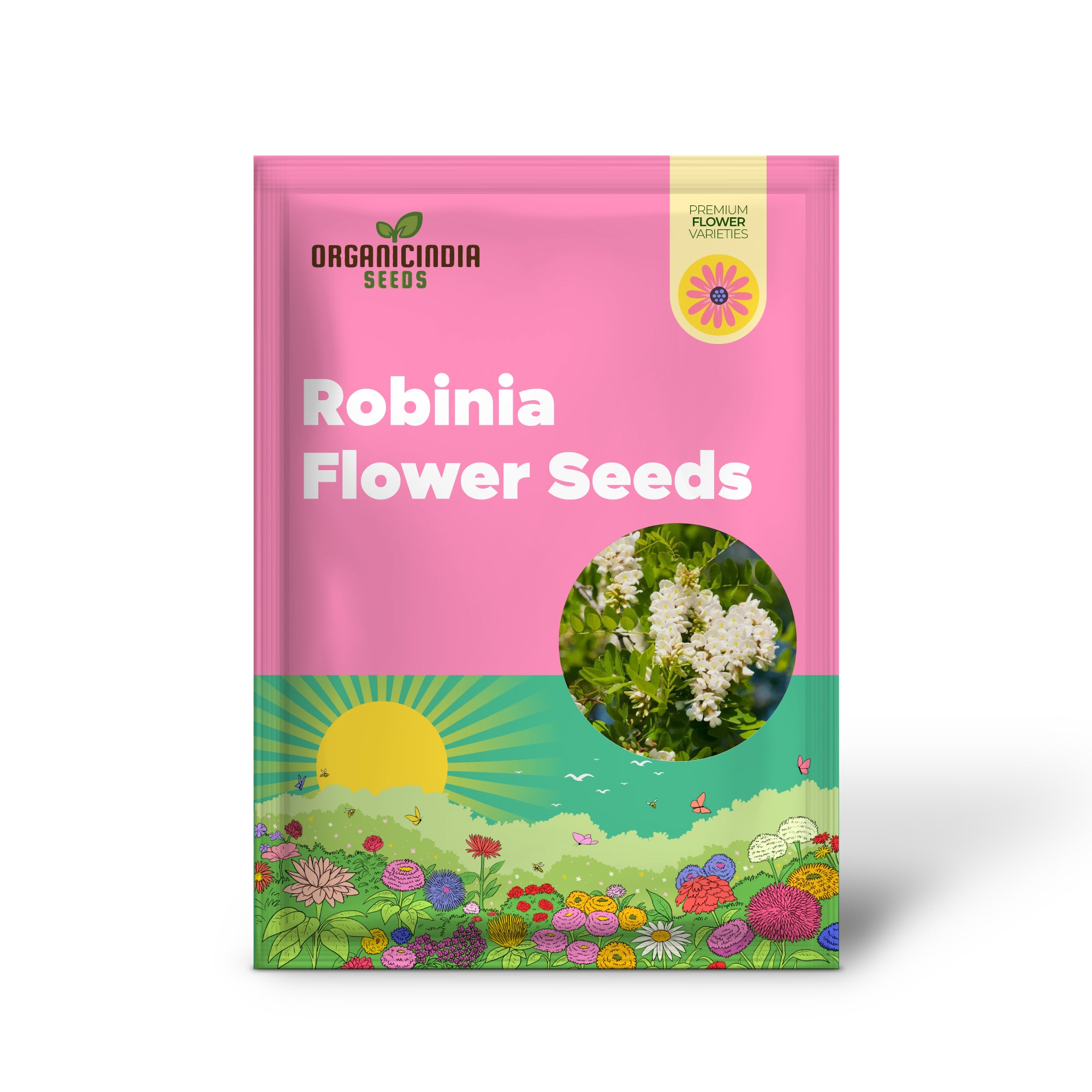 Robinia seeds germination in seed tray for home planting