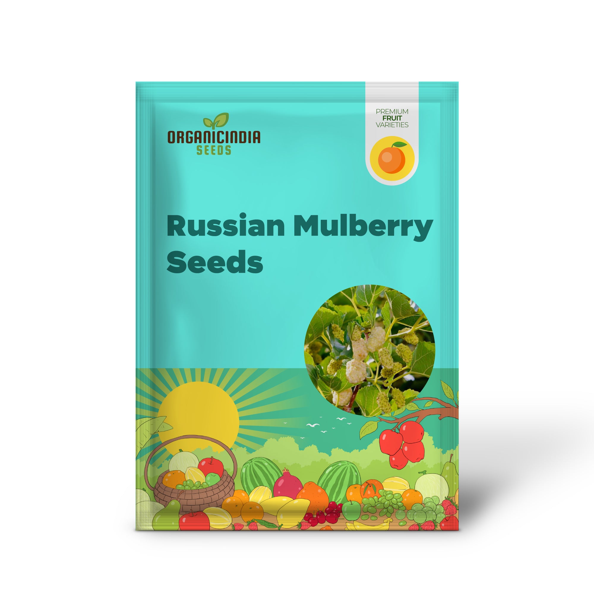 Russian Mulberry Tree with White Fruits – Grown from Non-GMO Seeds