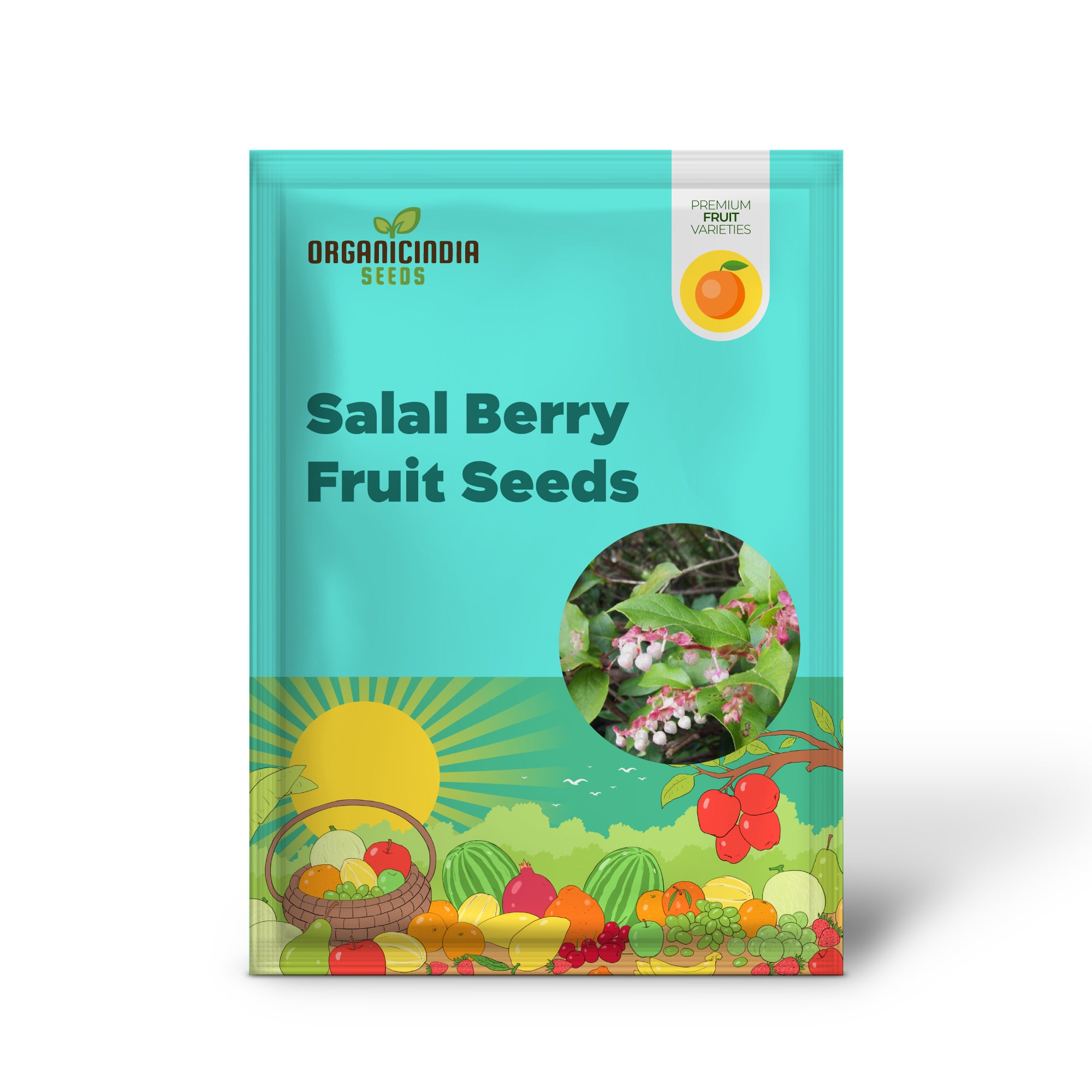 Salal Berry Seedlings Growing in Starter Trays