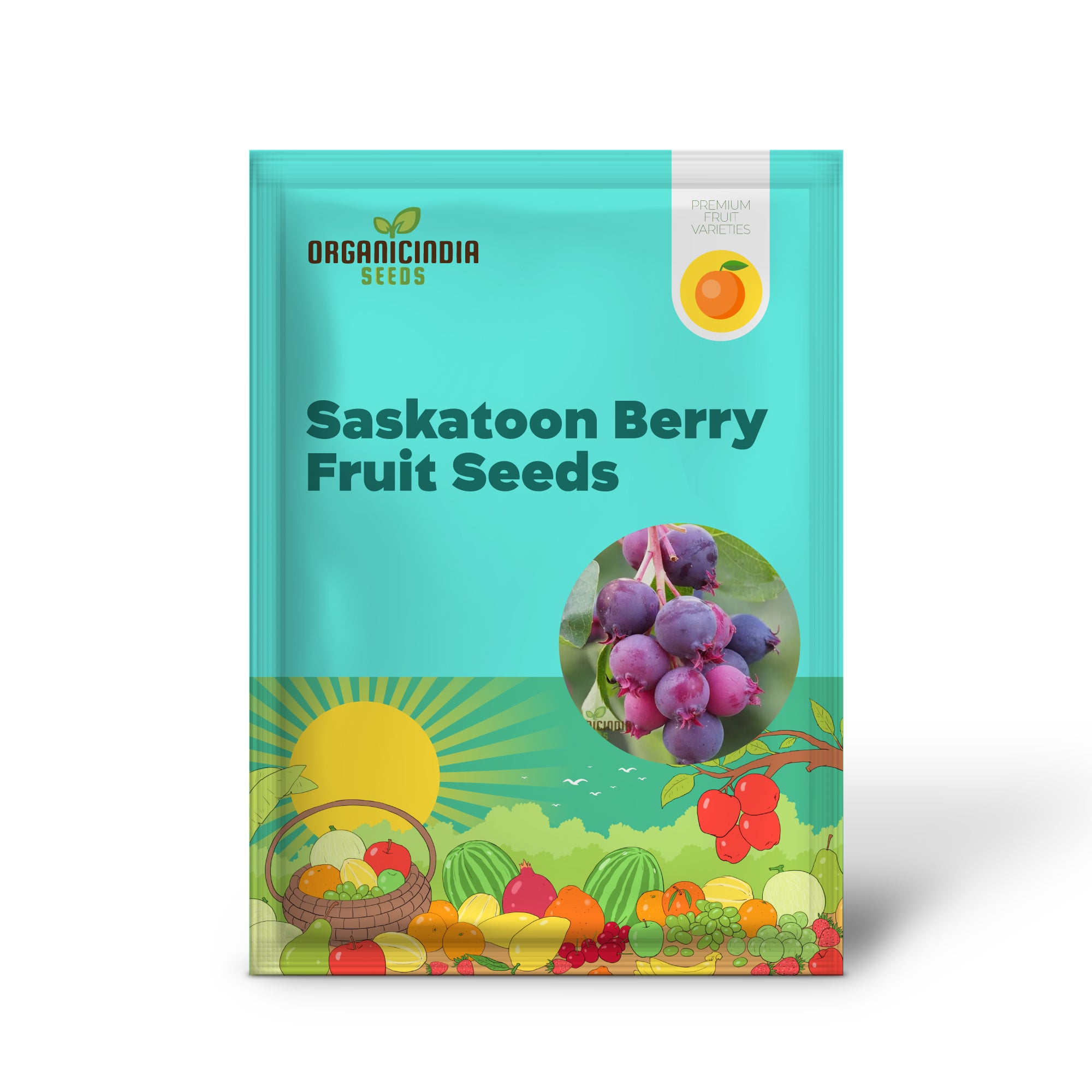 Saskatoon Berry seeds for planting hardy fruiting shrubs
