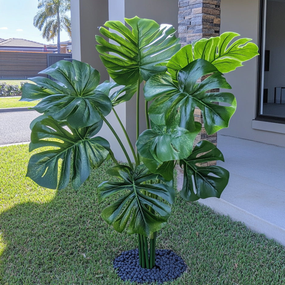 Semillas de planta Monstera Deliciosa – Cultiva follaje tropical verde y exuberante