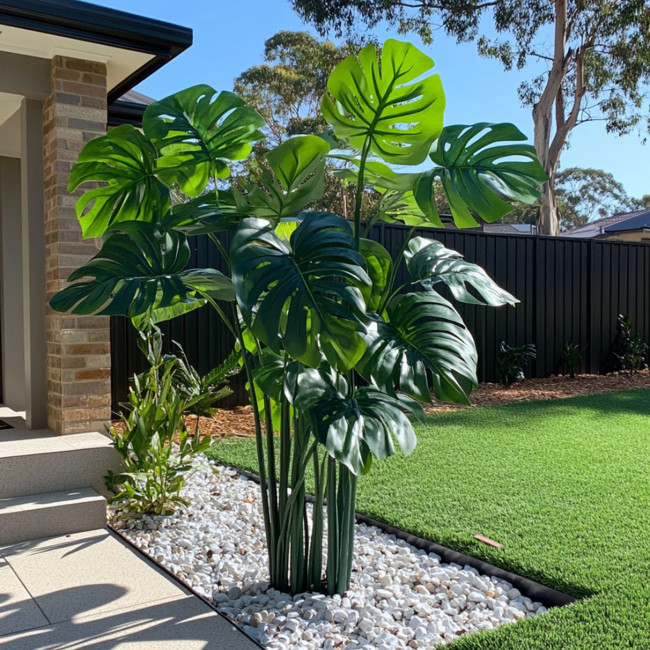 Semillas de planta Monstera Deliciosa – Cultiva follaje tropical verde y exuberante