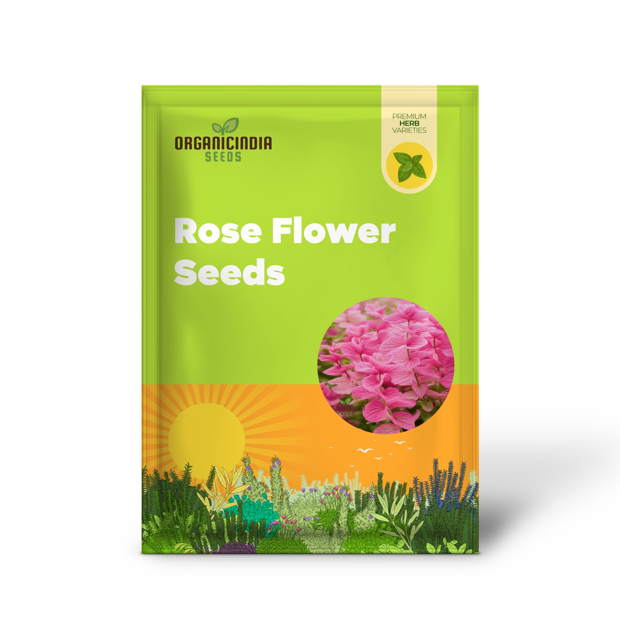 Salvia Say So Rose Garden Seeds for Long-Blooming Flowers