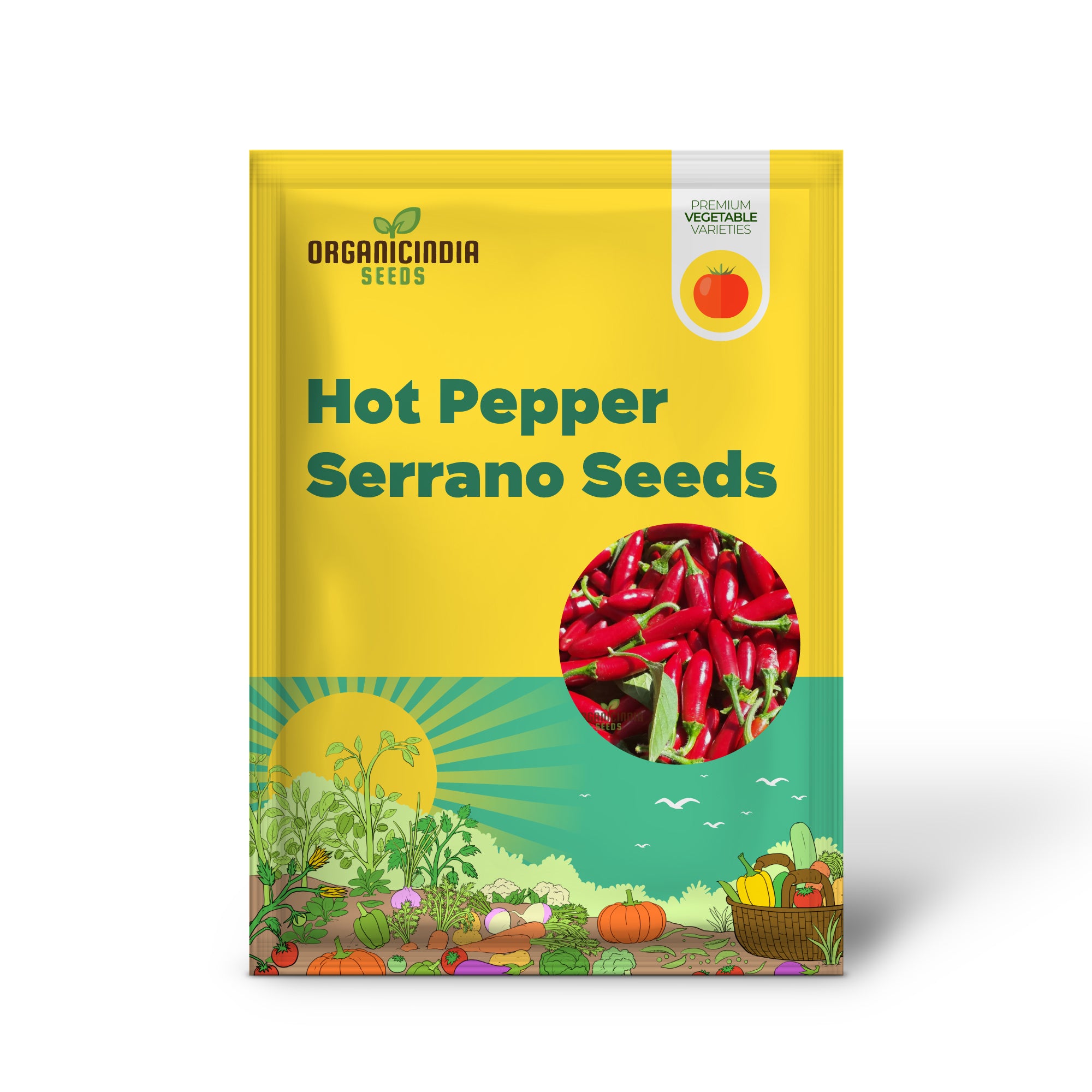 Serrano Pepper Seedlings Growing from Seeds in Garden