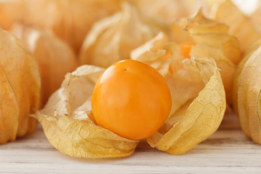 Semillas de Physalis Peruanas
