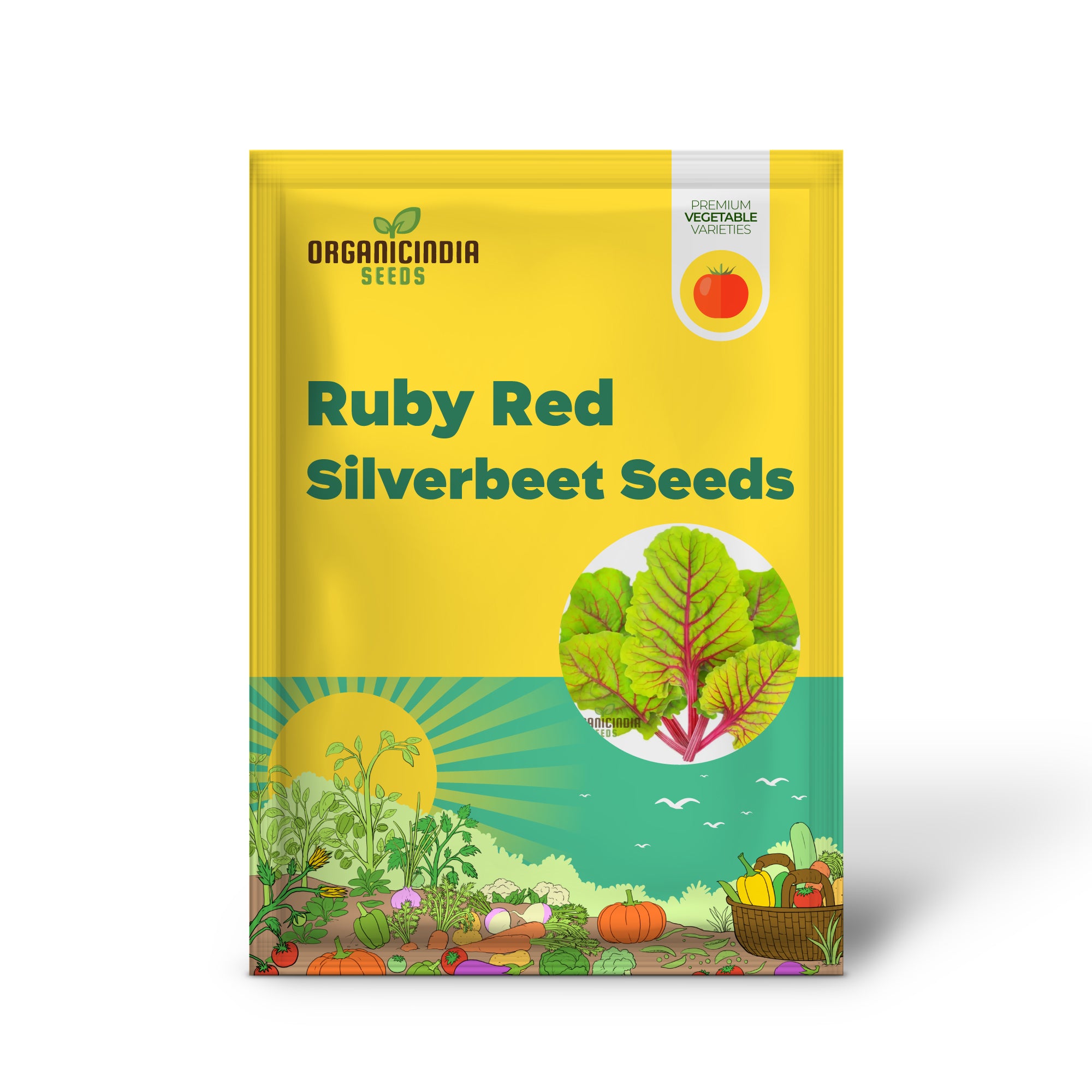 Ruby Red Silverbeet Seedlings Growing from Seeds in Garden Bed