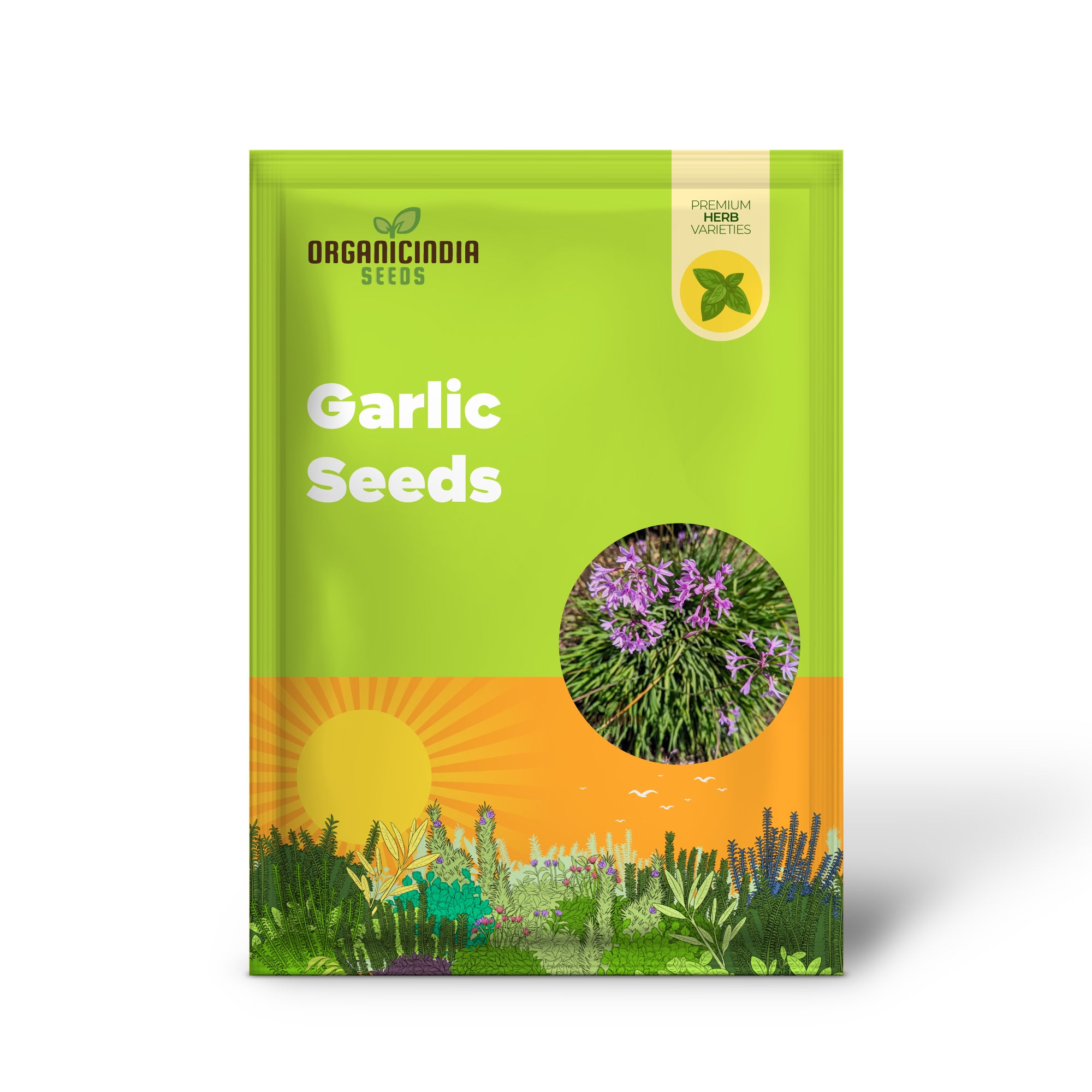 Society Garlic Seeds Growing into Lavender Purple Blooms