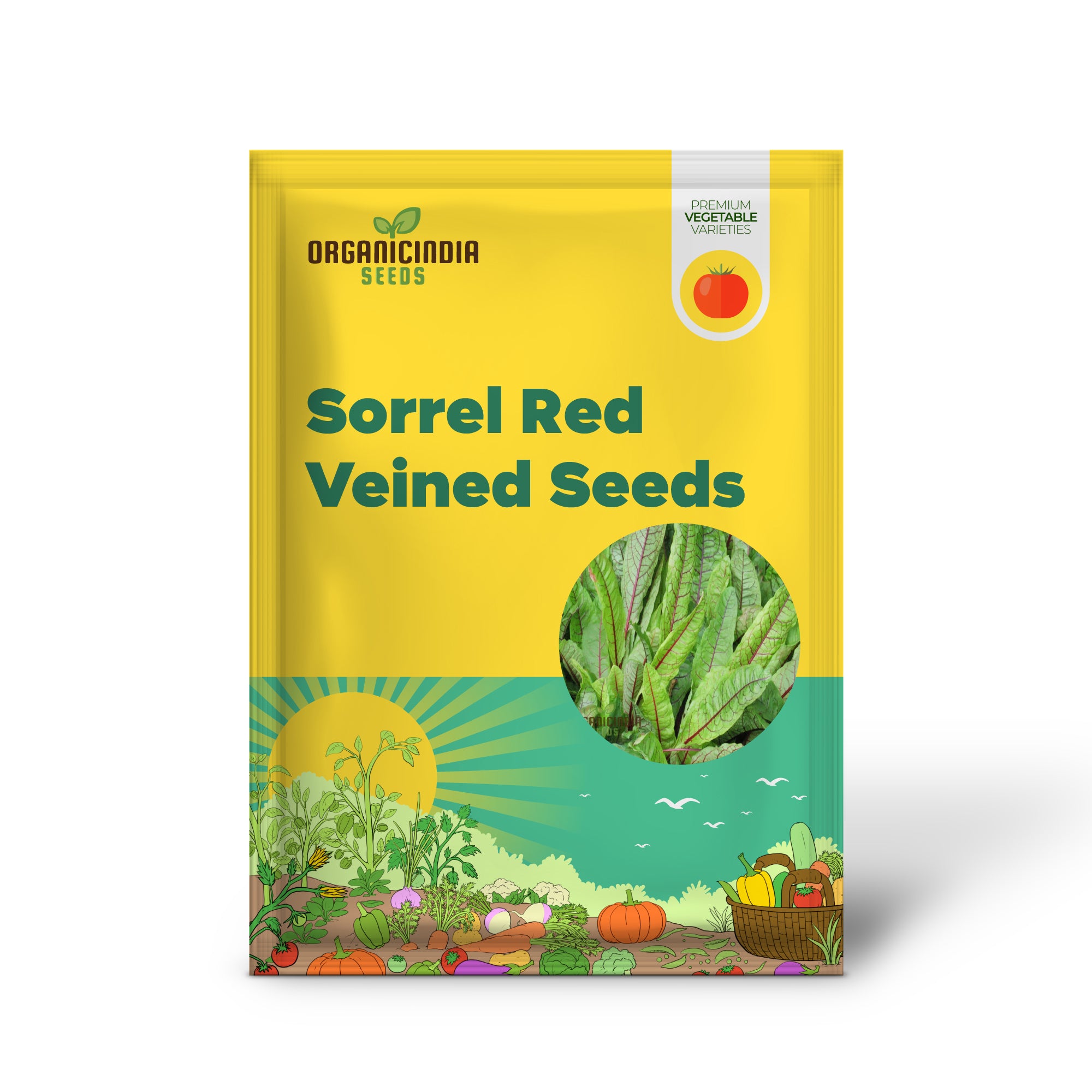 Red Veined Sorrel Seedling from Seeds, Easy-to-Grow Leafy Herb