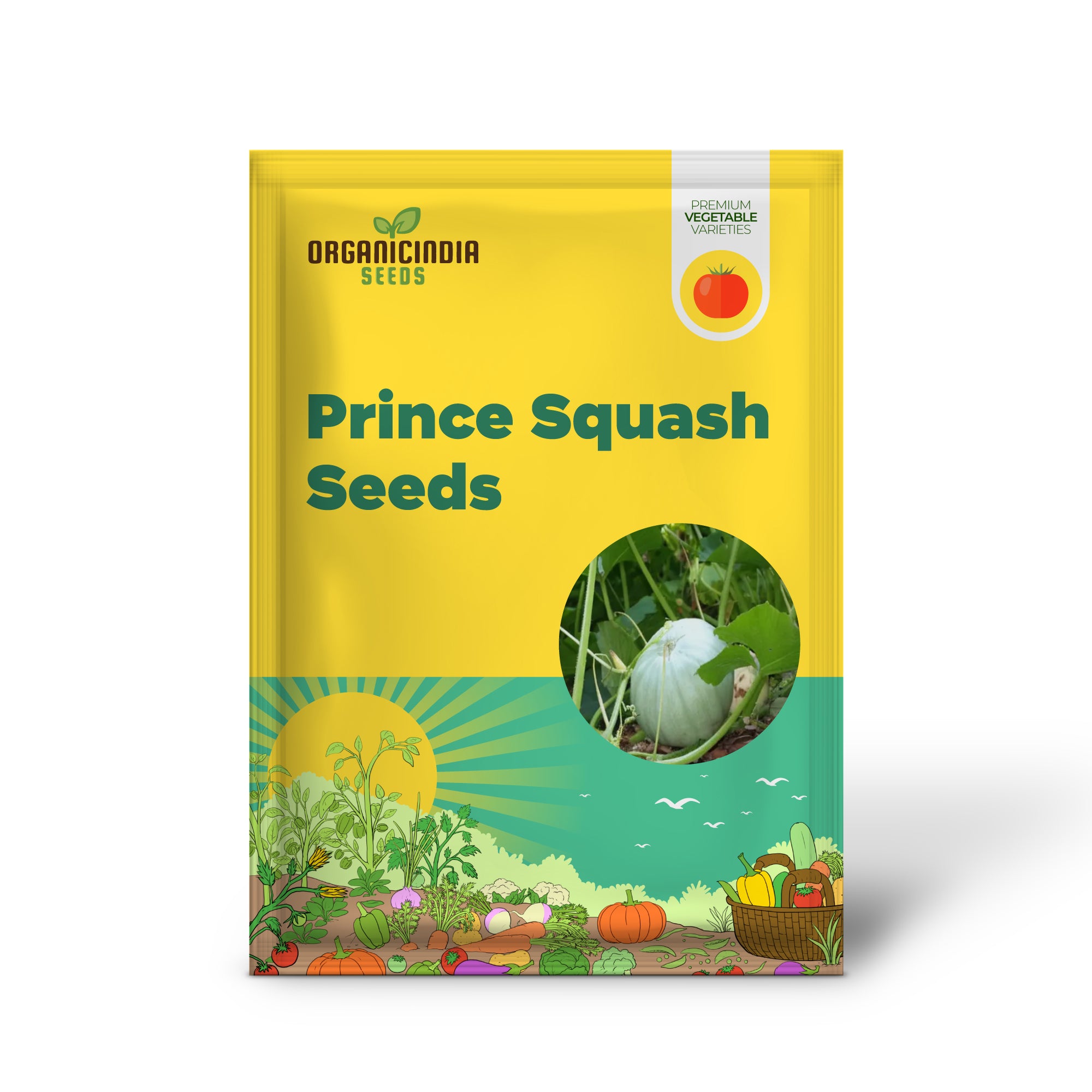 Crown Prince Squash Seedlings Growing from Seeds, Home Garden Vegetable