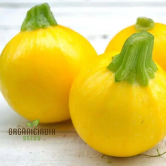 Harvested Globe Round Yellow Squash Fruits, Homegrown Vegetable Seeds