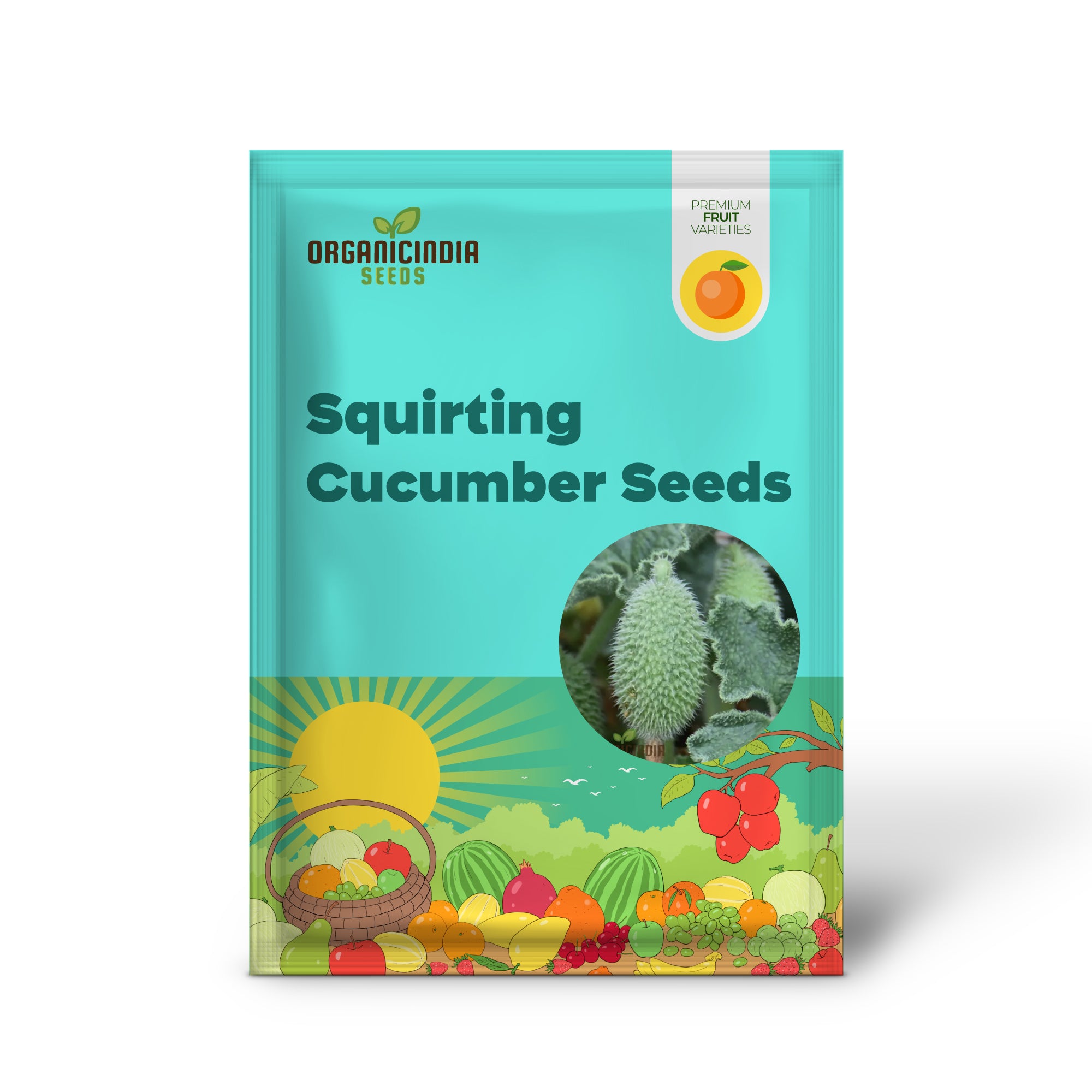 Squirting Cucumber Fruit Plant Ecballium Elaterium in Garden