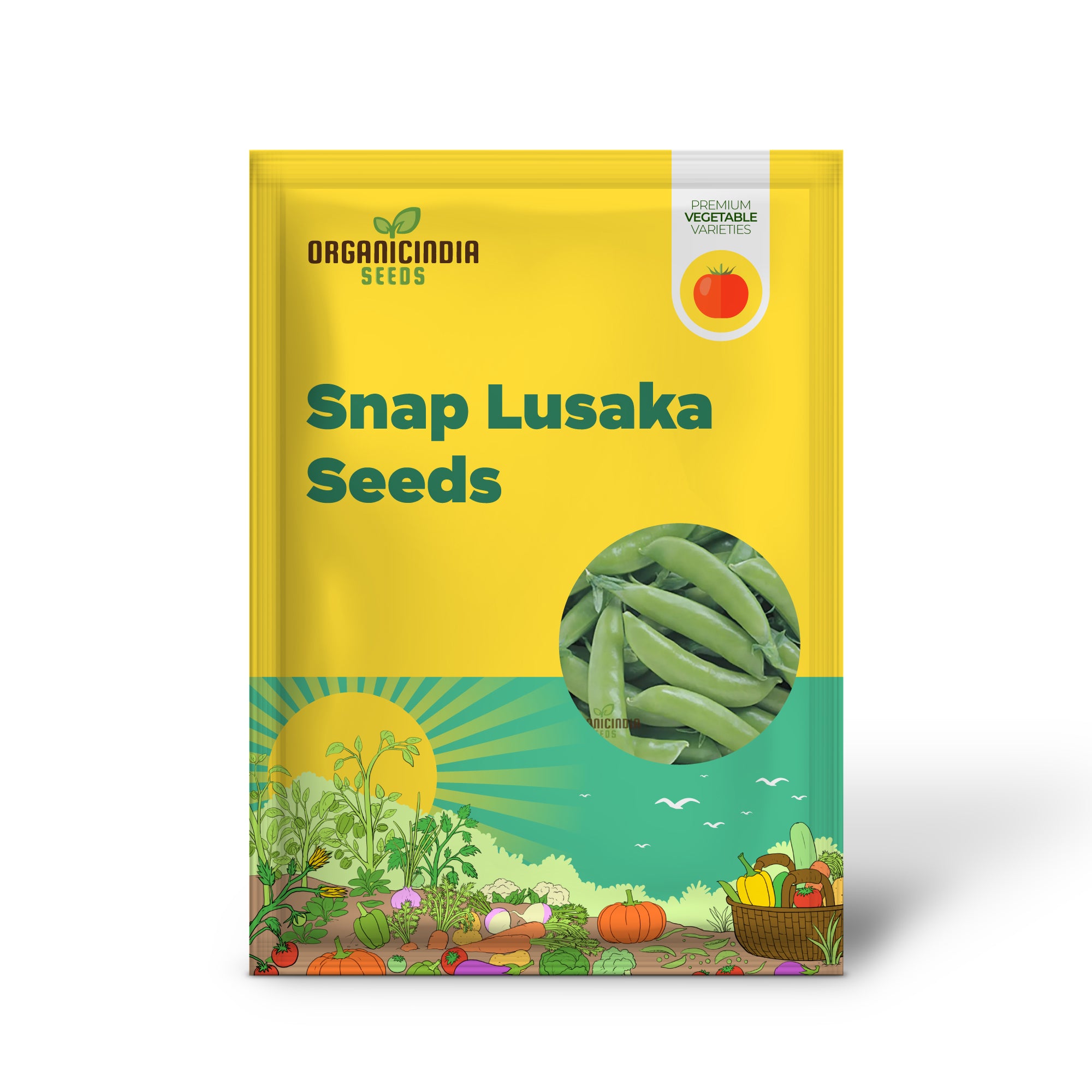 Lusaka Sugar Snap Pea Seedling Growing in Garden, Easy-to-Grow Pea Seeds