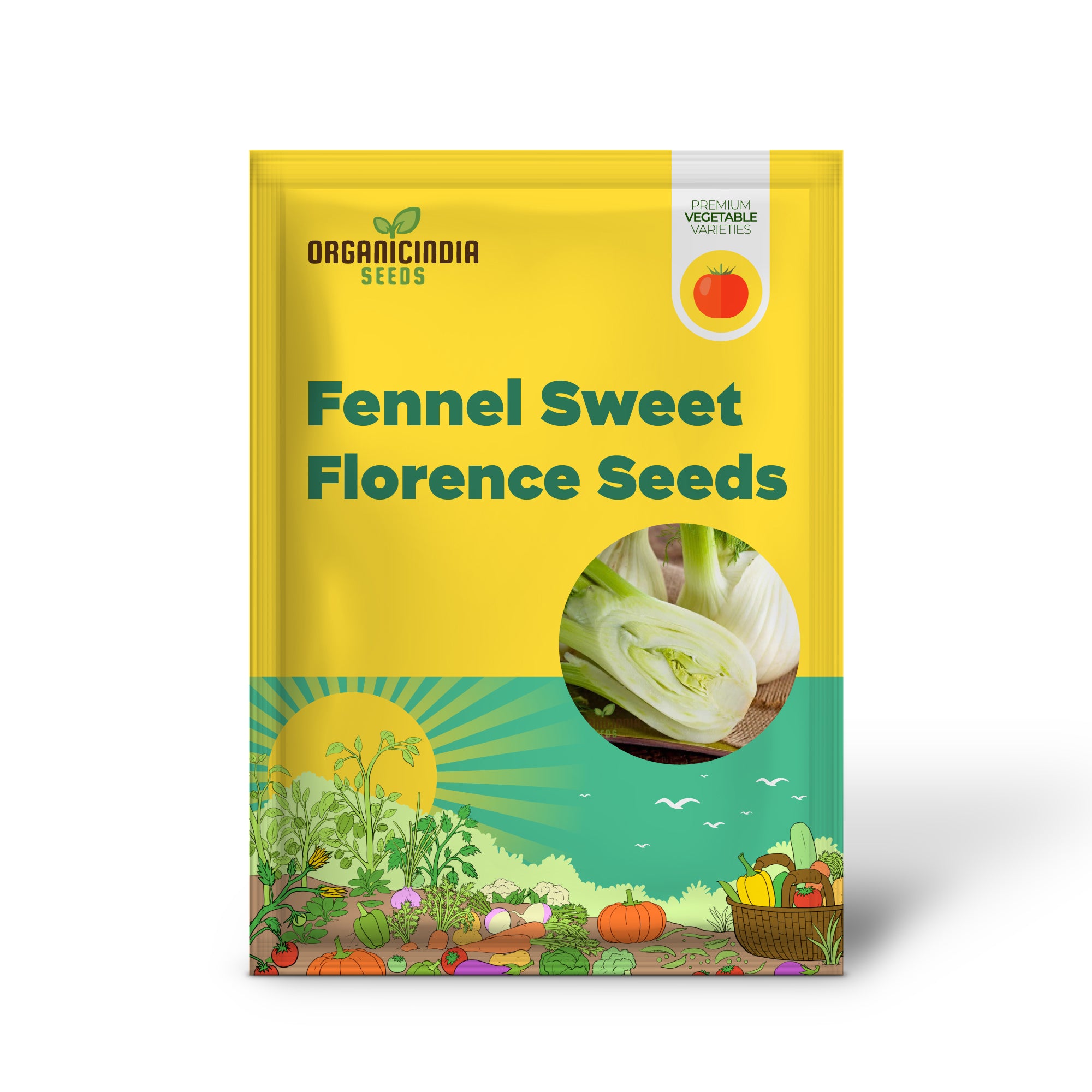 Sweet Florence Fennel Seedling for Kitchen Garden, Easy-to-Grow Herb Seeds