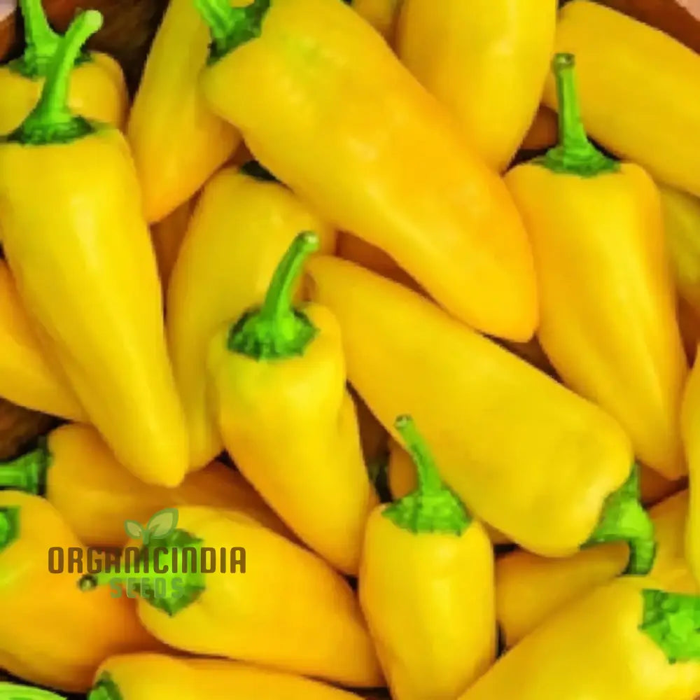 Sweet Pepper Seeds – Lemon Dream, Home Garden Yellow Bell Peppers