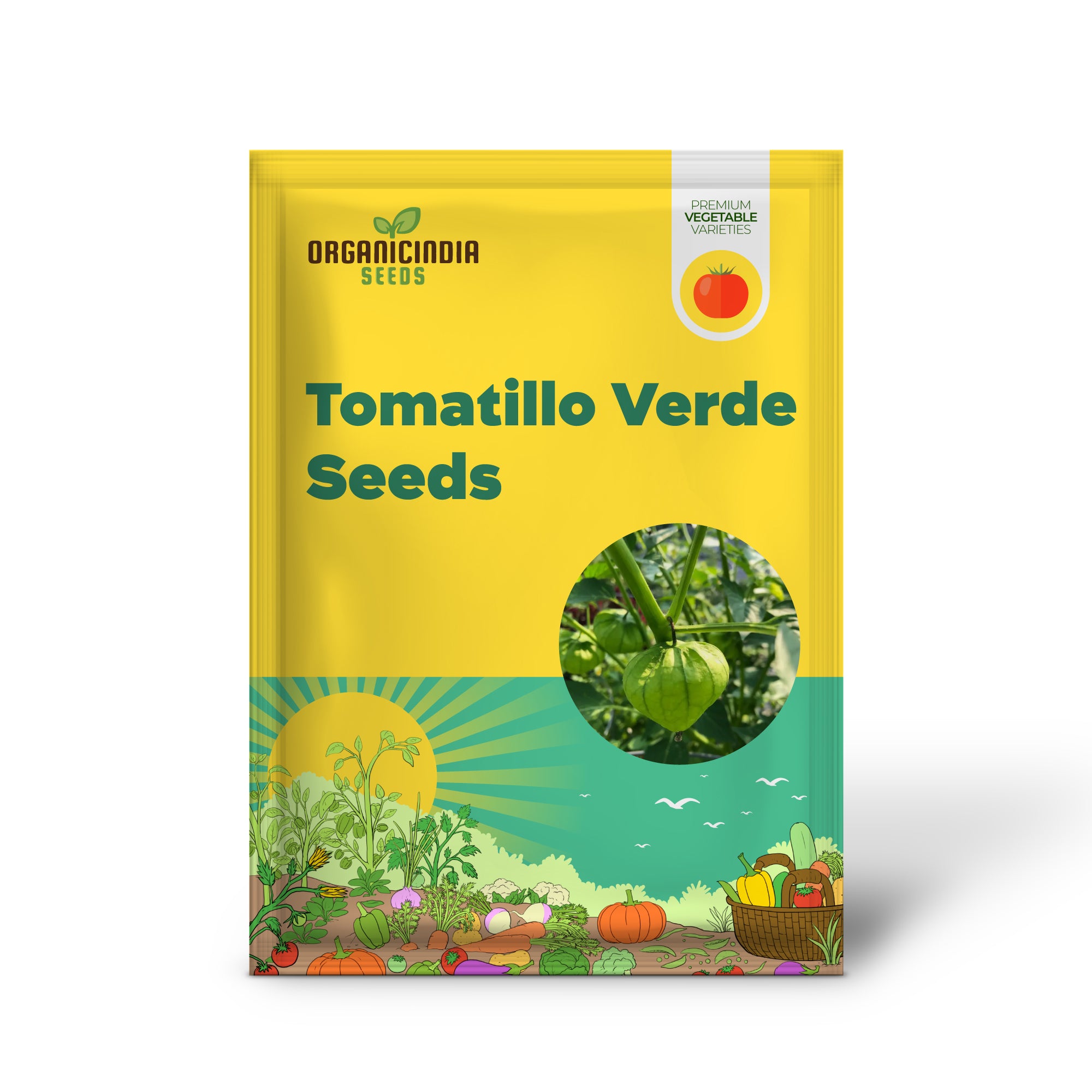 Tomatillo Verde Seedling Growing in Garden, Easy-to-Grow Vegetable Seeds