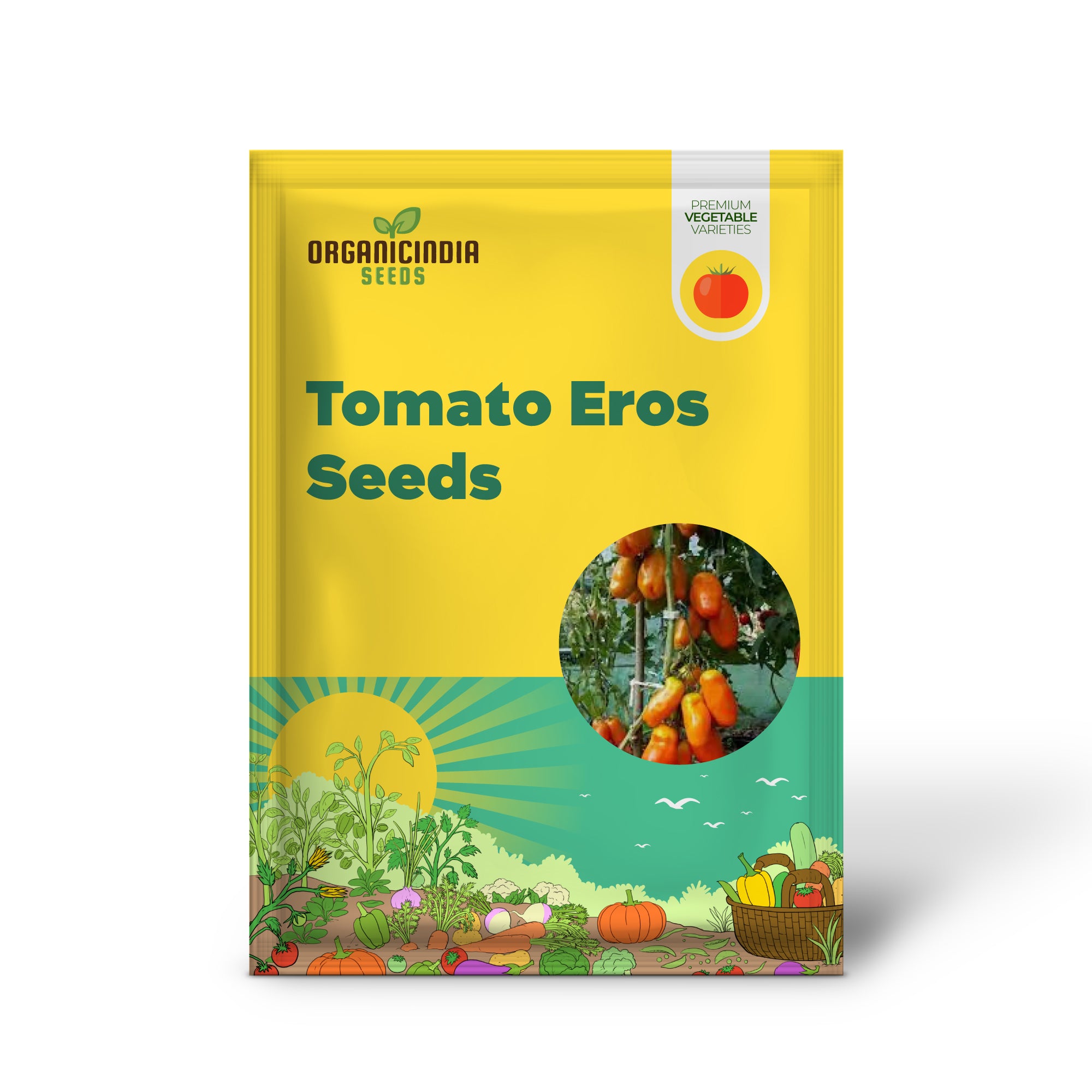 Tomato Seedling Growing from Eight Ball Eros Seeds, Home Garden Tomatoes