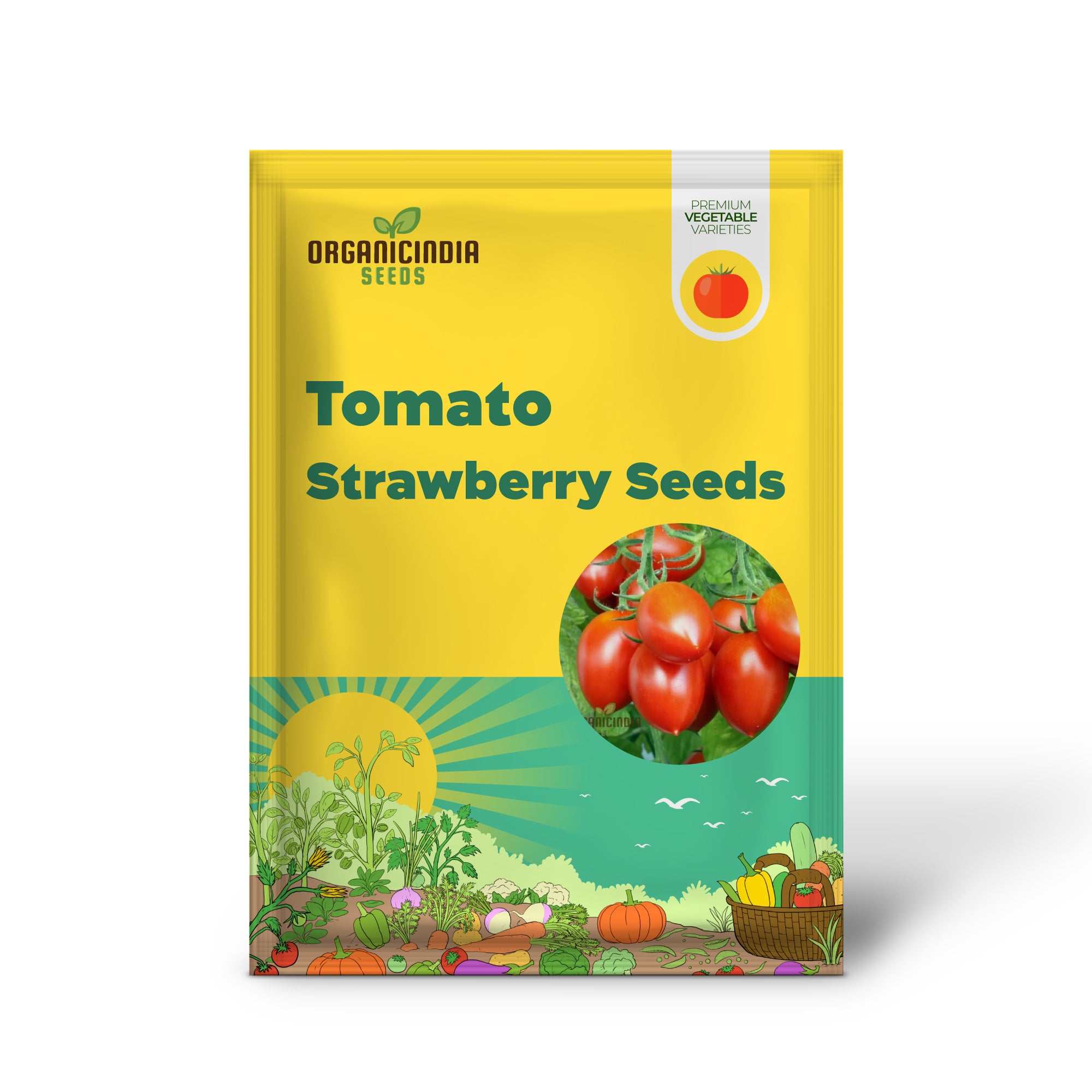 German Red Strawberry Tomato Seedling from Seeds, Home Garden Vegetable