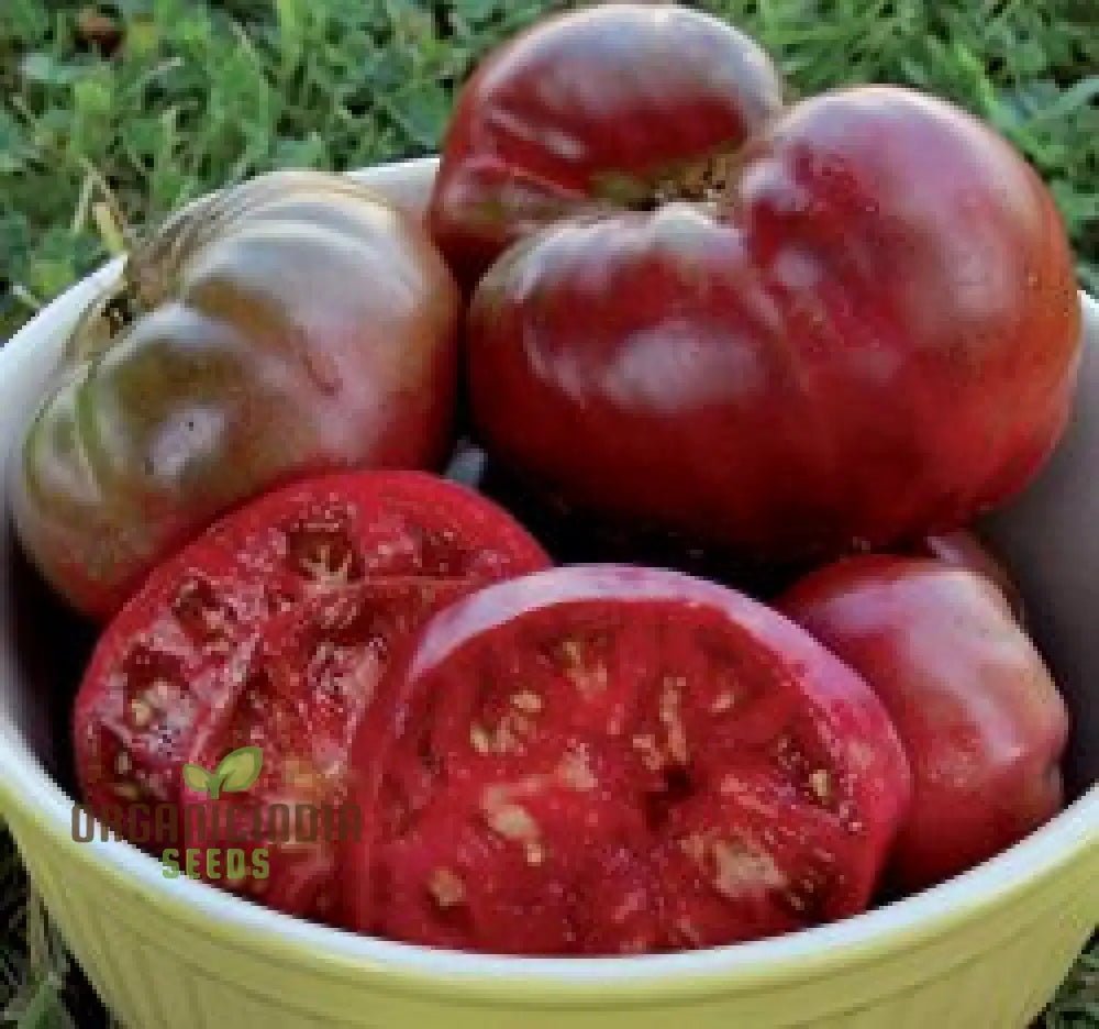 Tomato Memorabilia Seeds for Home Garden, Organic Perennial Tomato Seeds