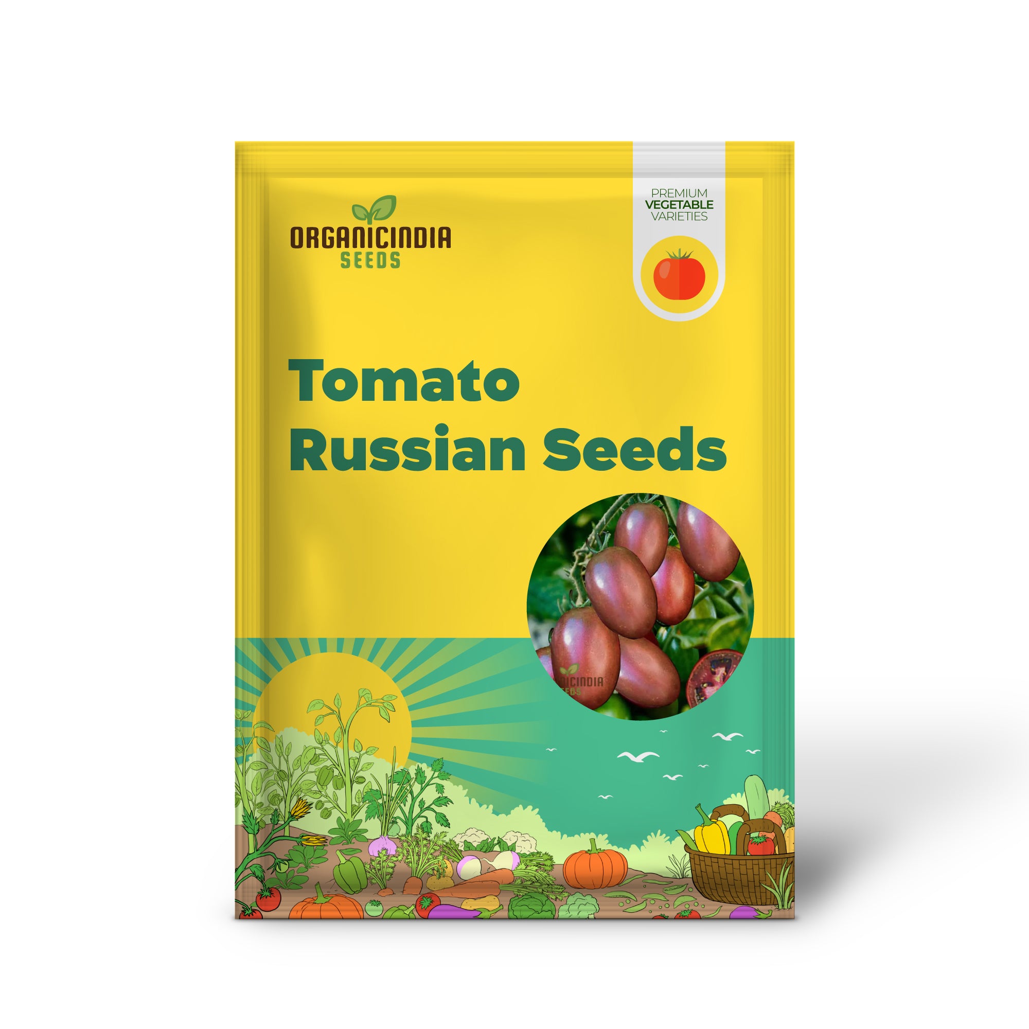 Purple Russian Tomato Seedling, Easy-to-Grow Tomato Seeds