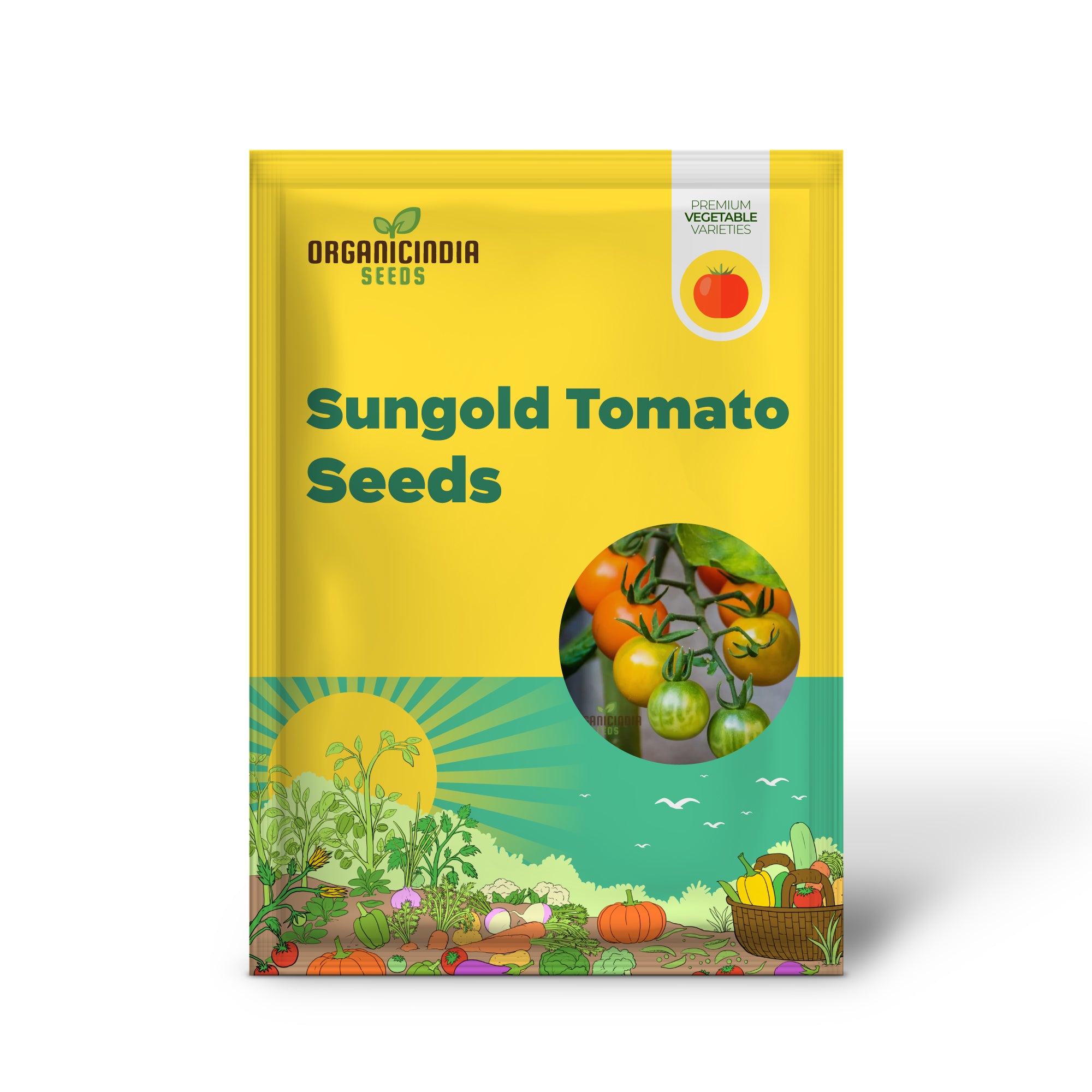 Sungold Tomato Seedling in Garden, Vigorous and High-Yielding Plants