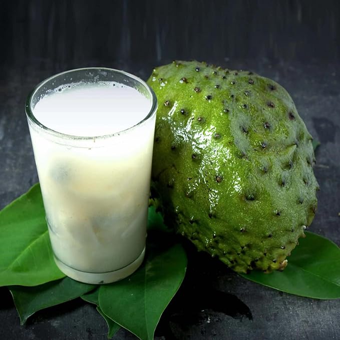 Tropical Soursop Fruit Seeds with Sweet Tangy Flavor