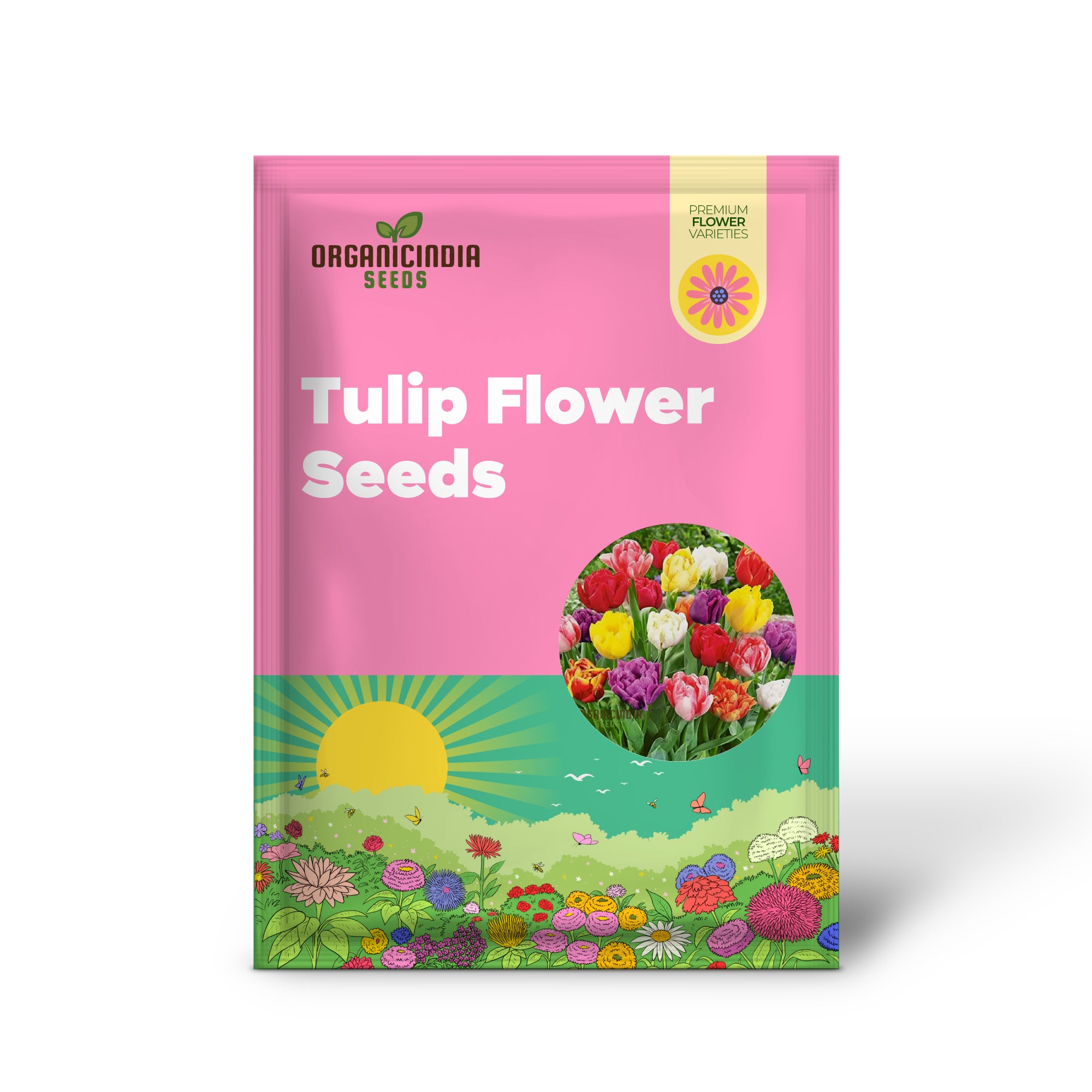 Tulip flower seeds assorted colors for spring planting