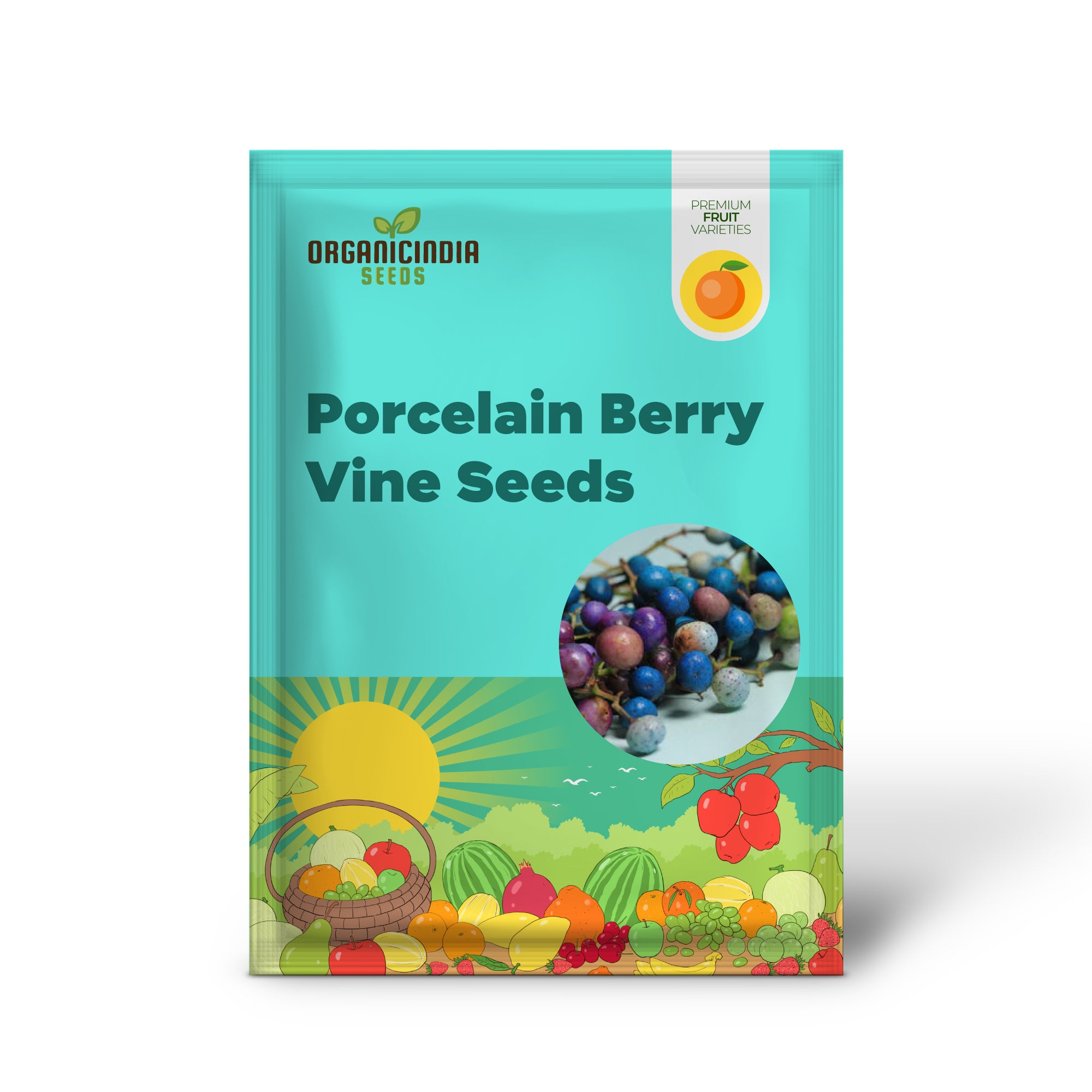 Variegated Porcelain Vine Seeds for Ornamental Garden Use