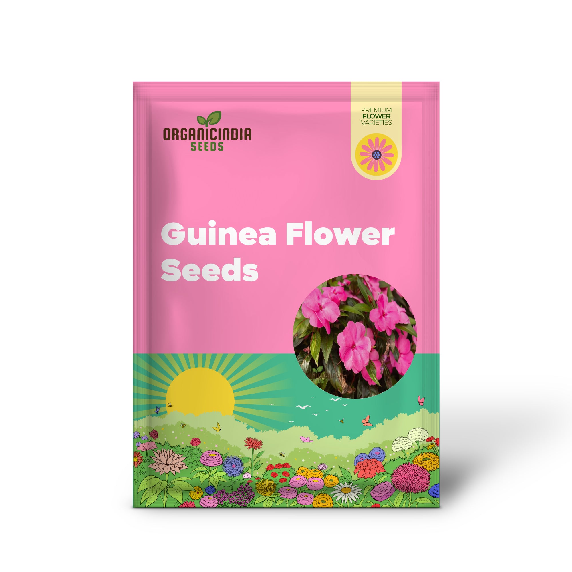 Vibrant Guinea Flower Seeds for Stunning Garden Blooms