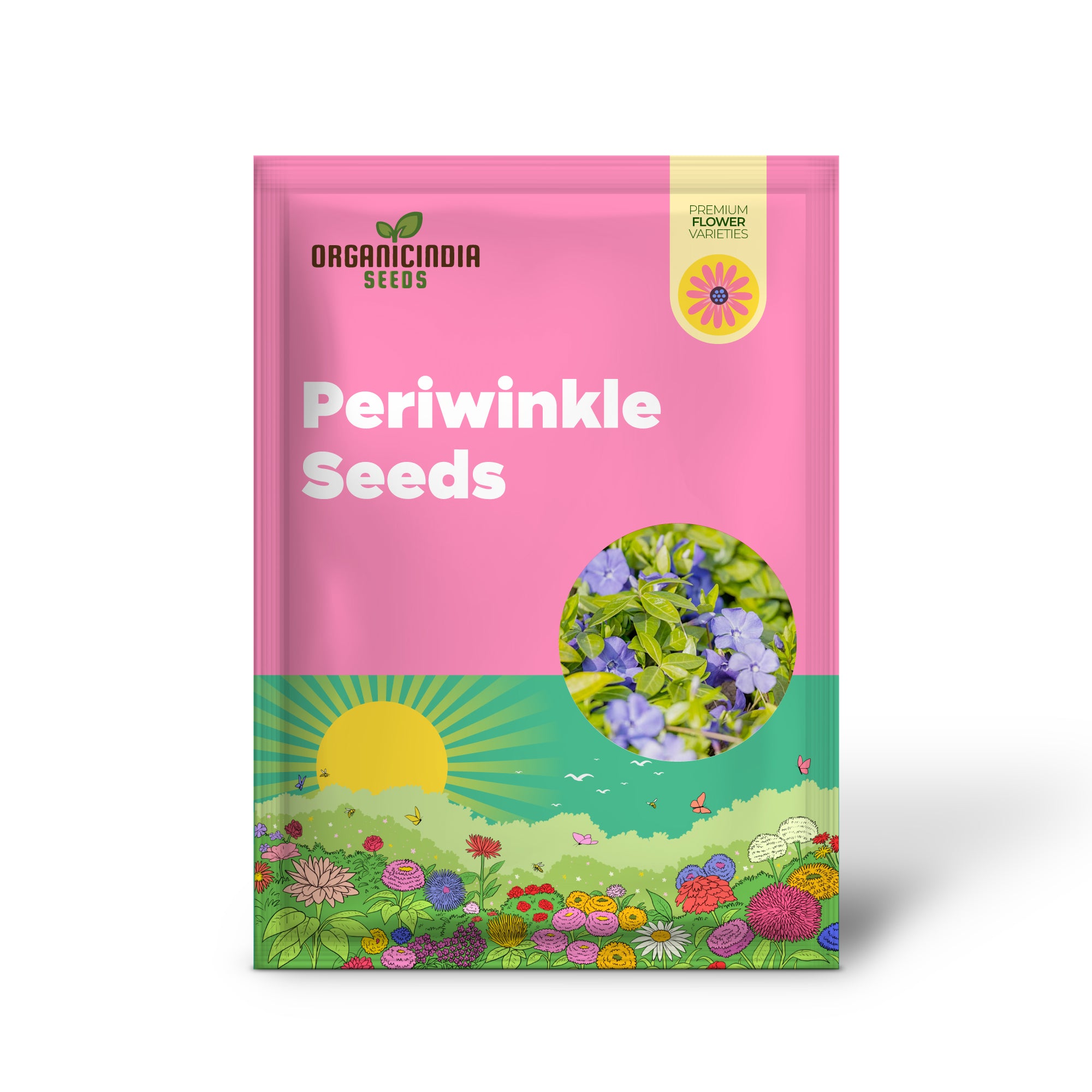 Vinca perennial seeds for planting