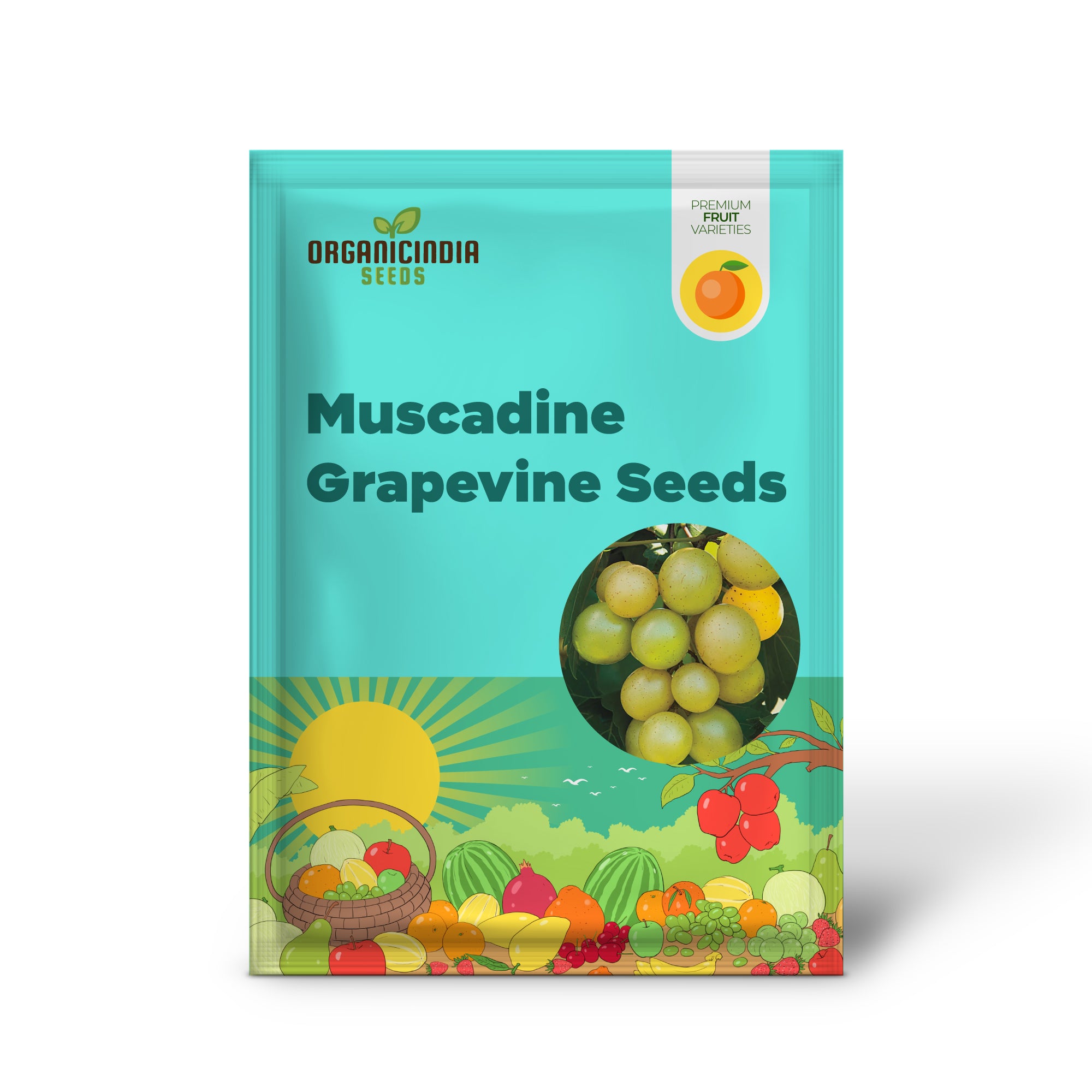 Vitis rotundifolia Scuppernong grapevine seeds for growing white grapes