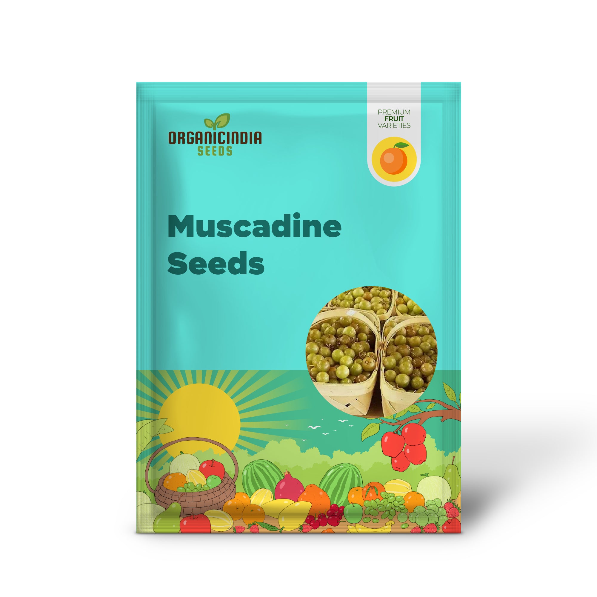 Vitis rotundifolia Scuppernong seeds for growing golden grape vines