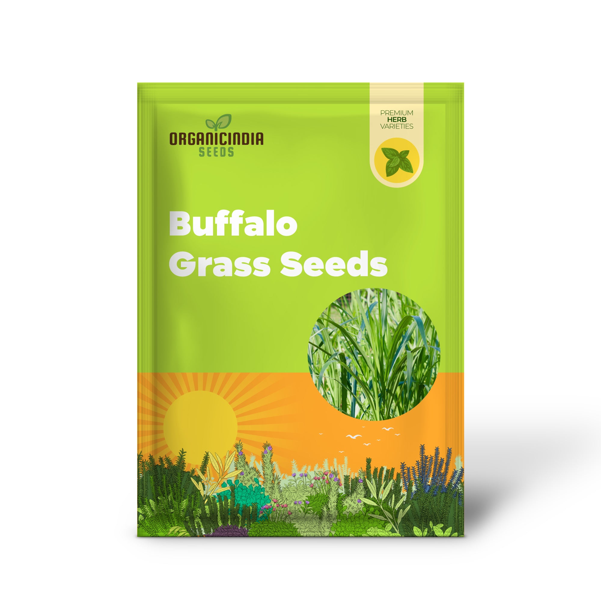 Warm season Buffalo Grass lawn seeds low maintenance turf