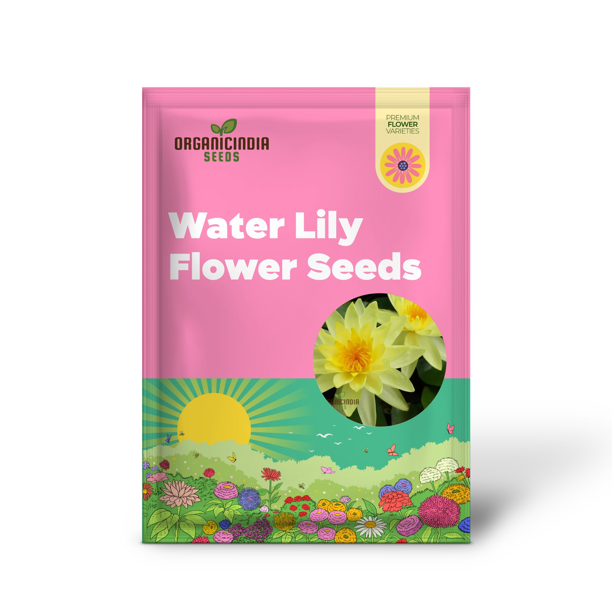 Water lily seeds germination in aquatic planting container