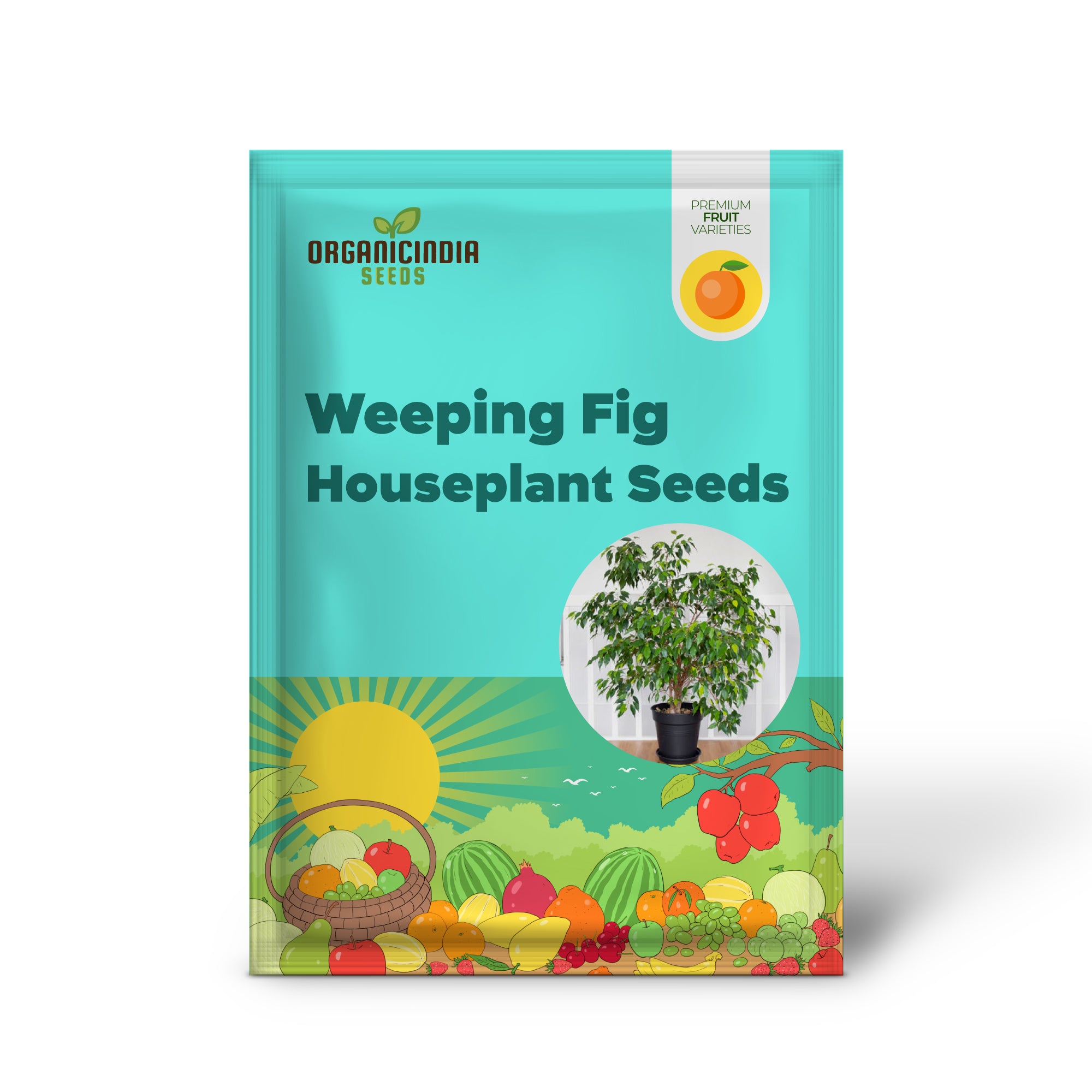 Weeping Fig seed packet