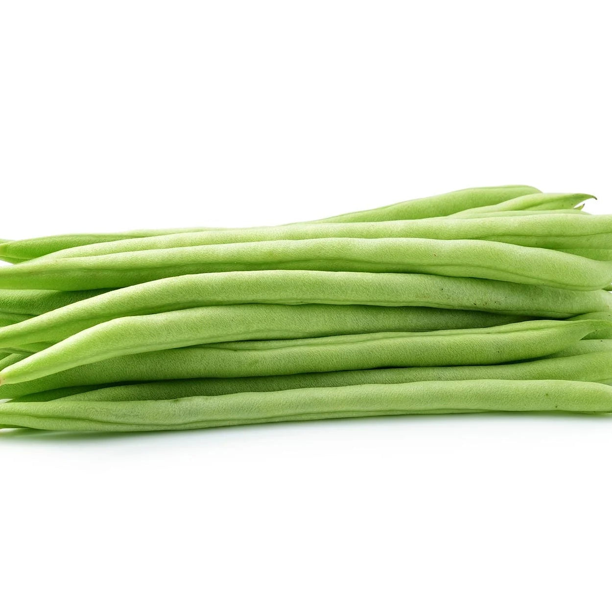 Mature White Half Runner Green Bean Plant from Seeds, Vigorous Climbing Vines