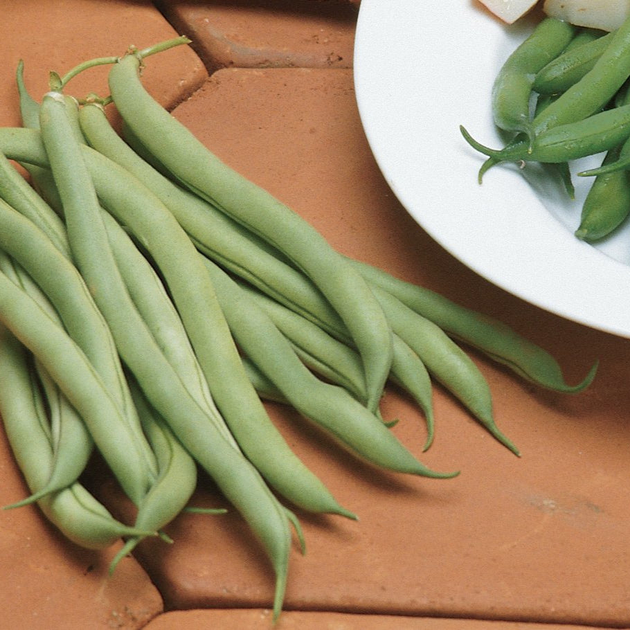 White Half Runner Green Bean Seeds for Home Garden, High-Yield Climbing Beans