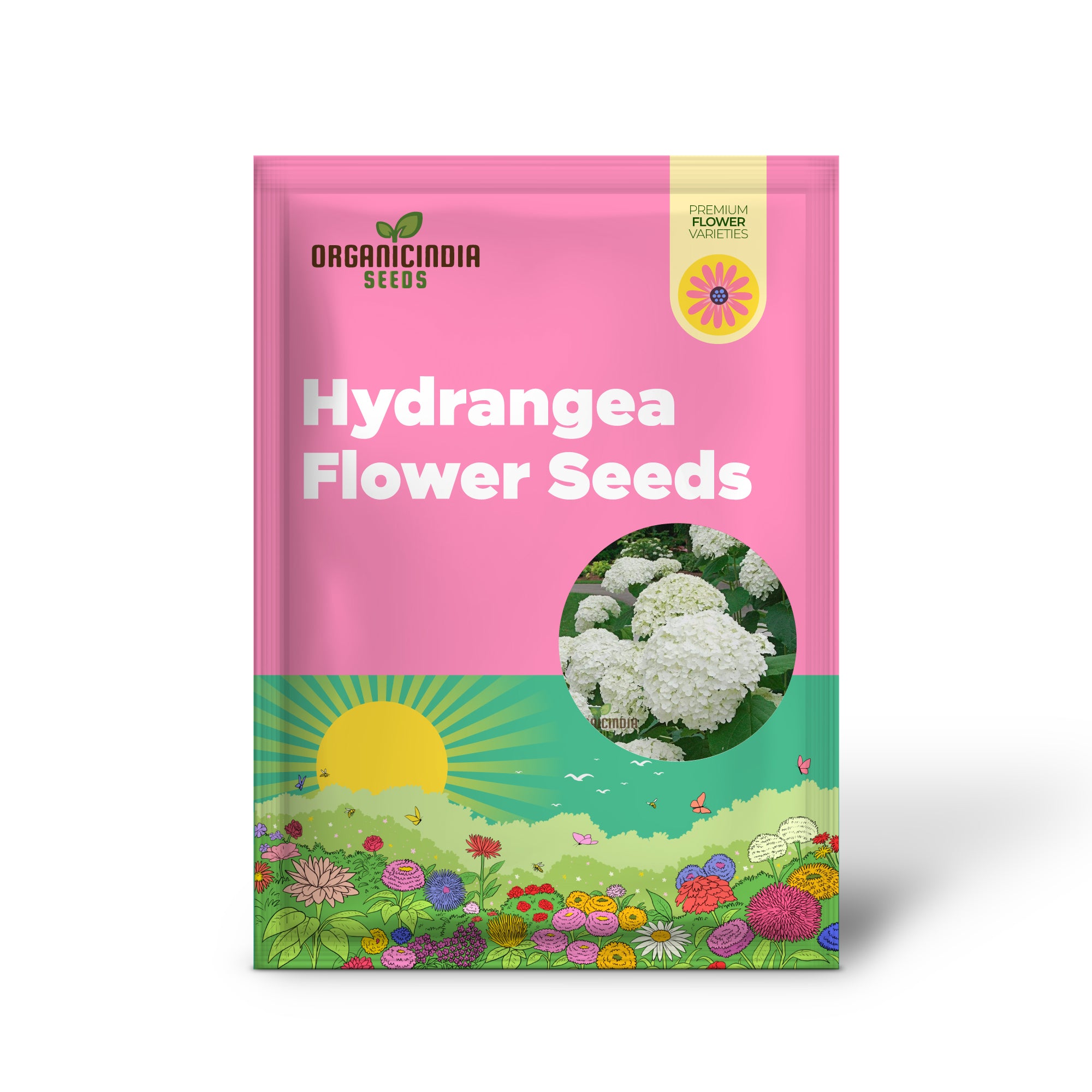White Hydrangea Seeds high quality Non-GMO for planting