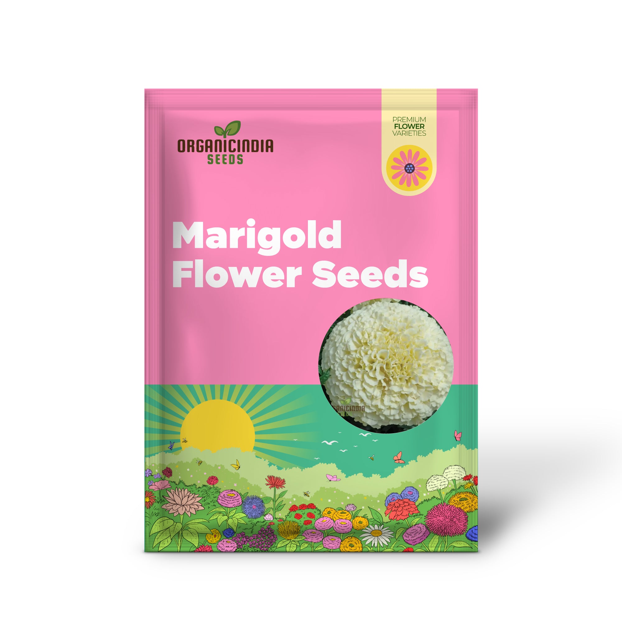 White Marigold flower seeds producing elegant blooms