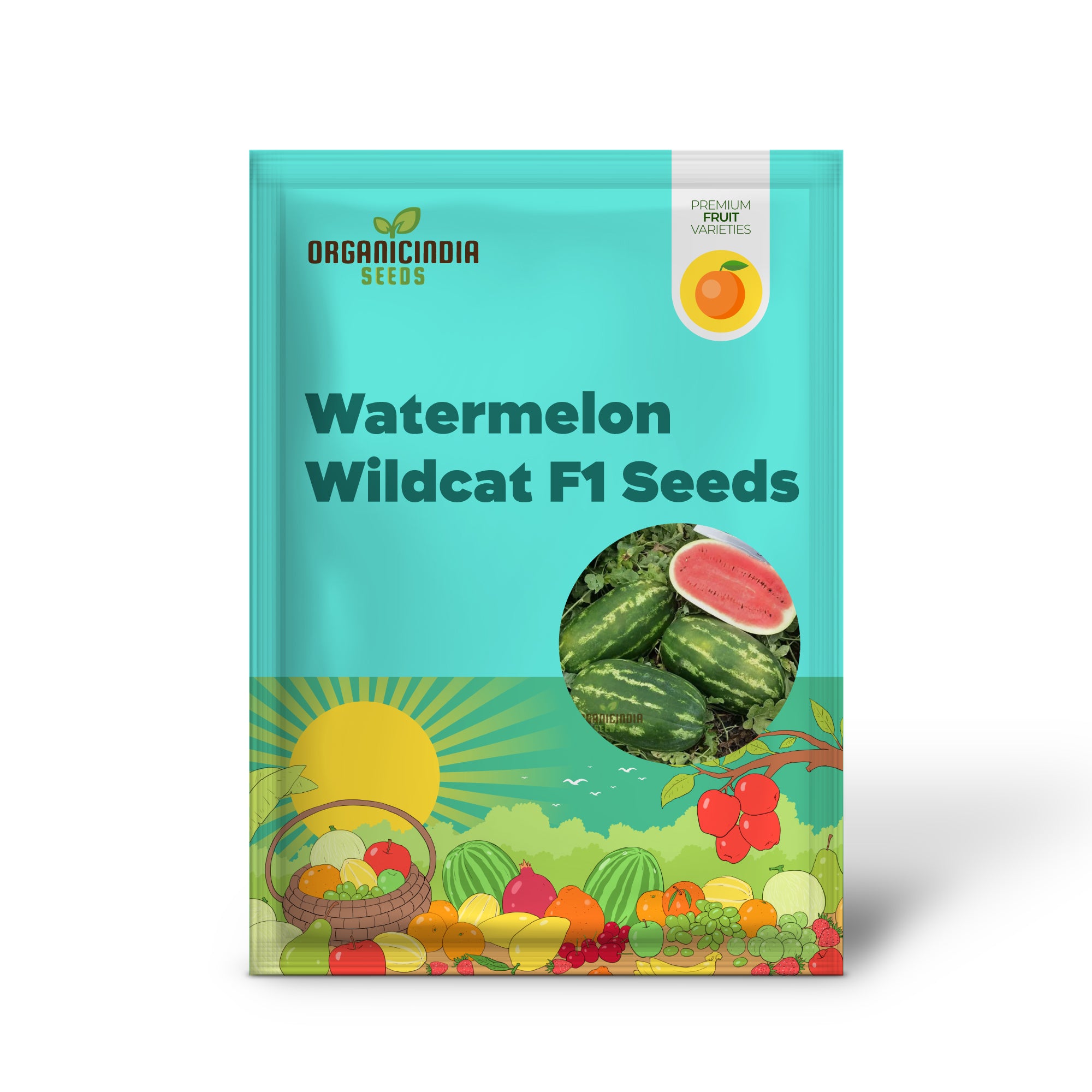 Wildcat F1 Watermelon Seedlings Growing in Warm Soil