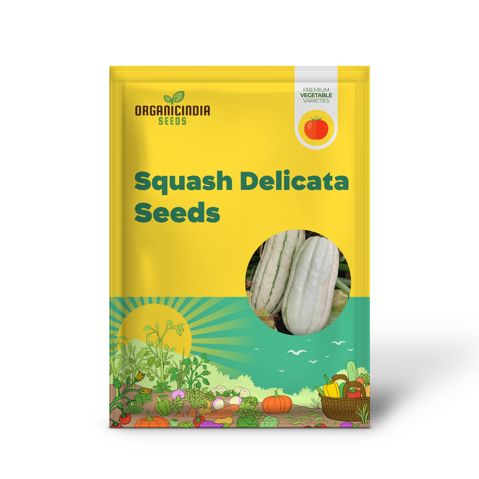 Delicata Winter Squash Seedling from Seeds, Easy-to-Grow Vegetable Seeds