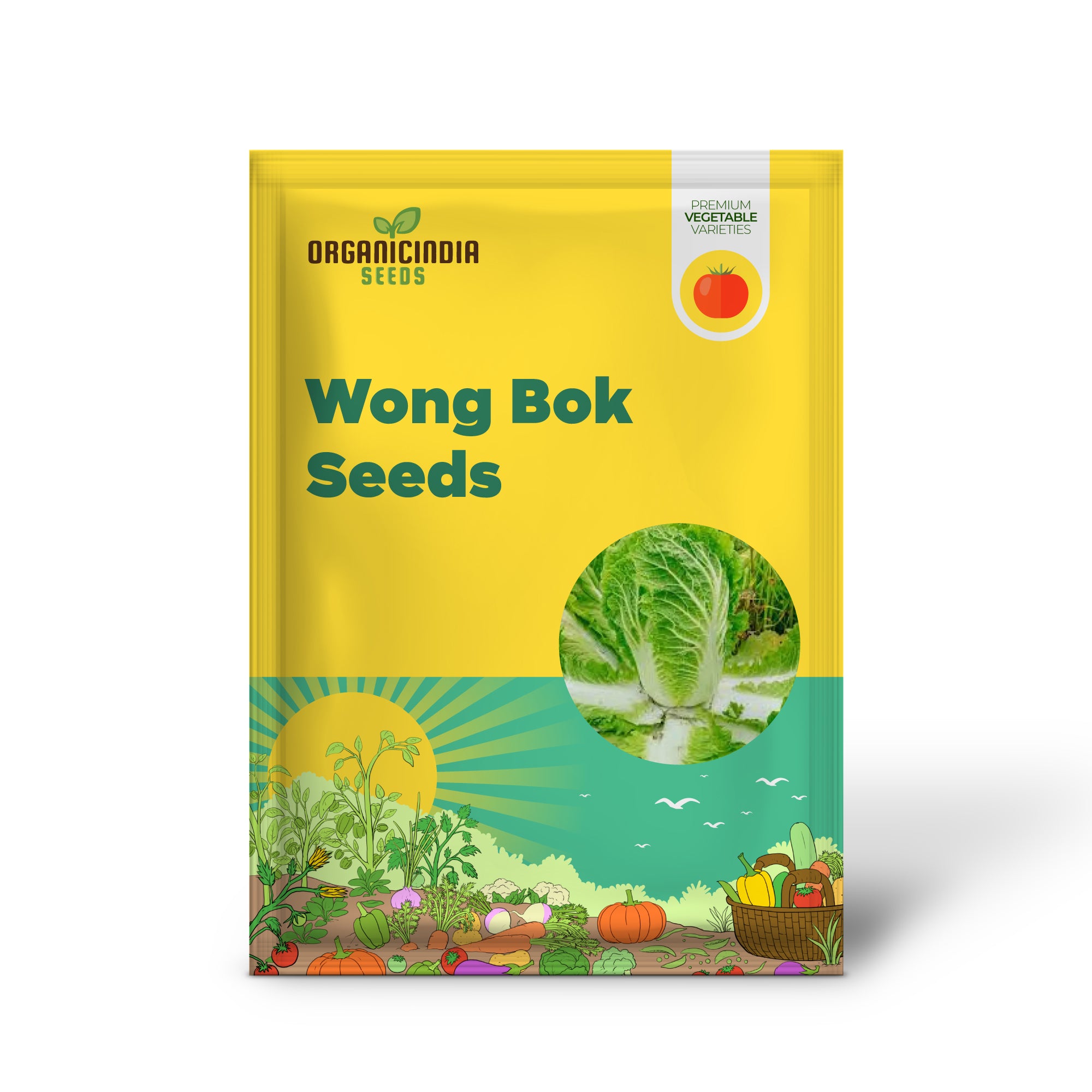 Wong Bok Seedling from Premium Seeds, Easy-to-Grow Leafy Greens